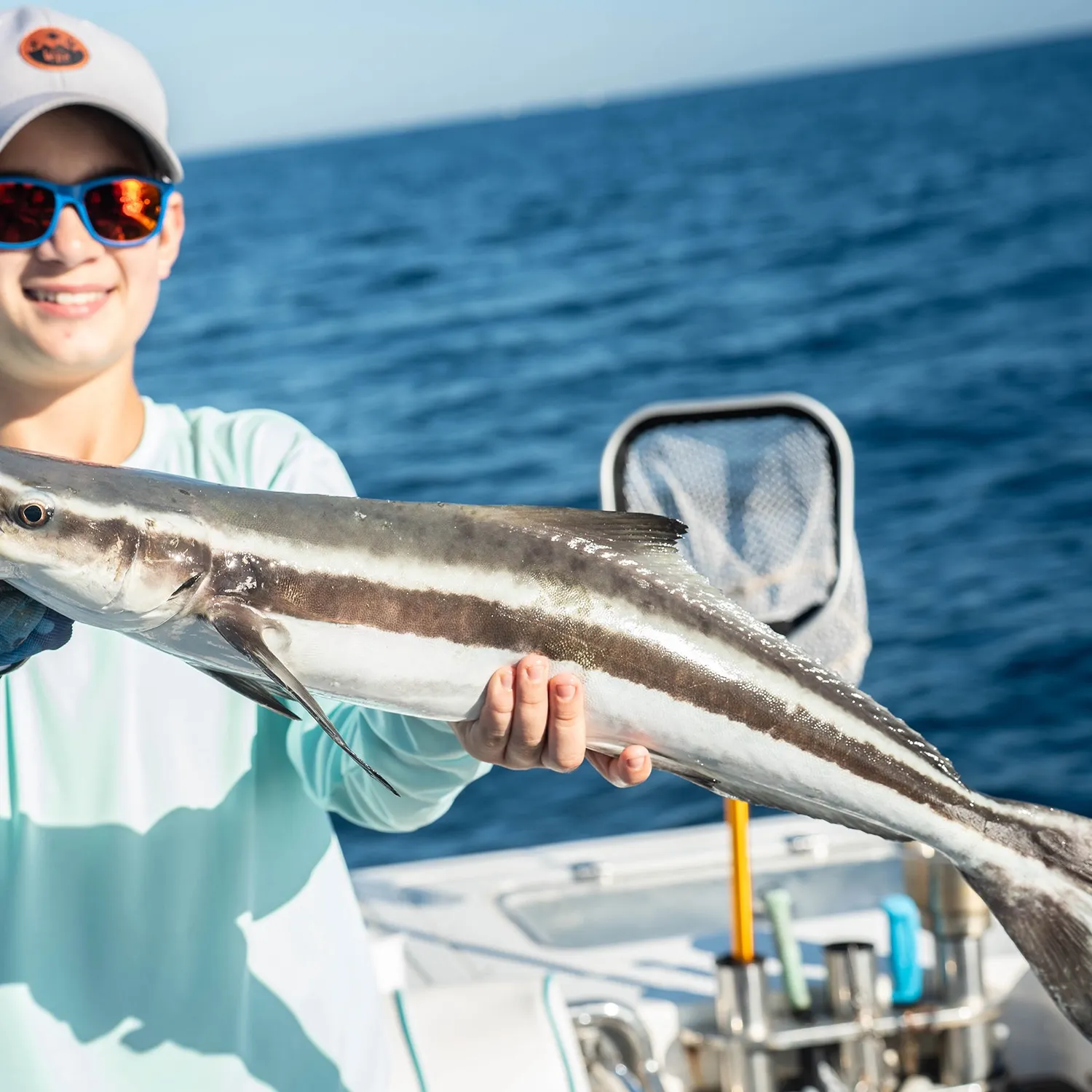 The most recent Cobia catches on Fishbrain