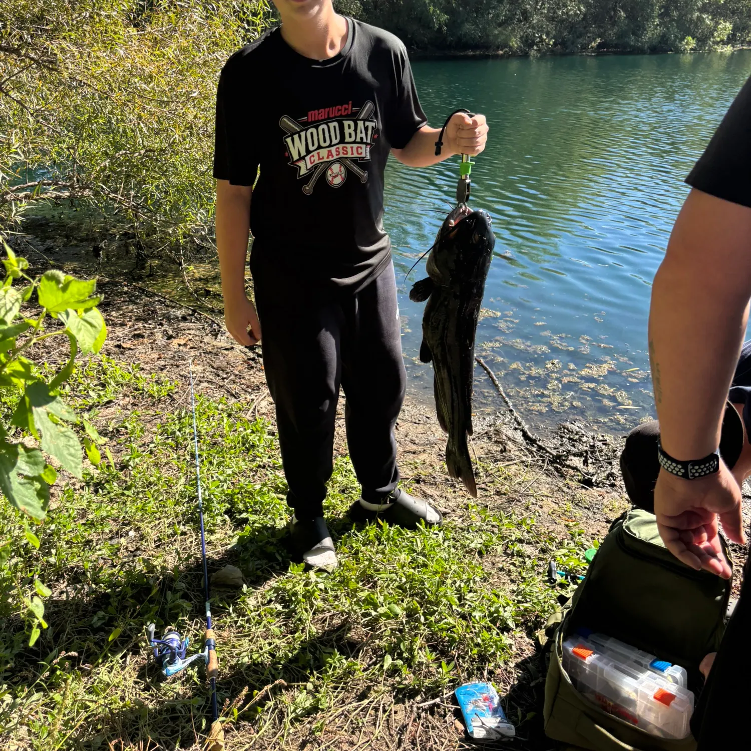 Channel catfish caught on Fishbrain