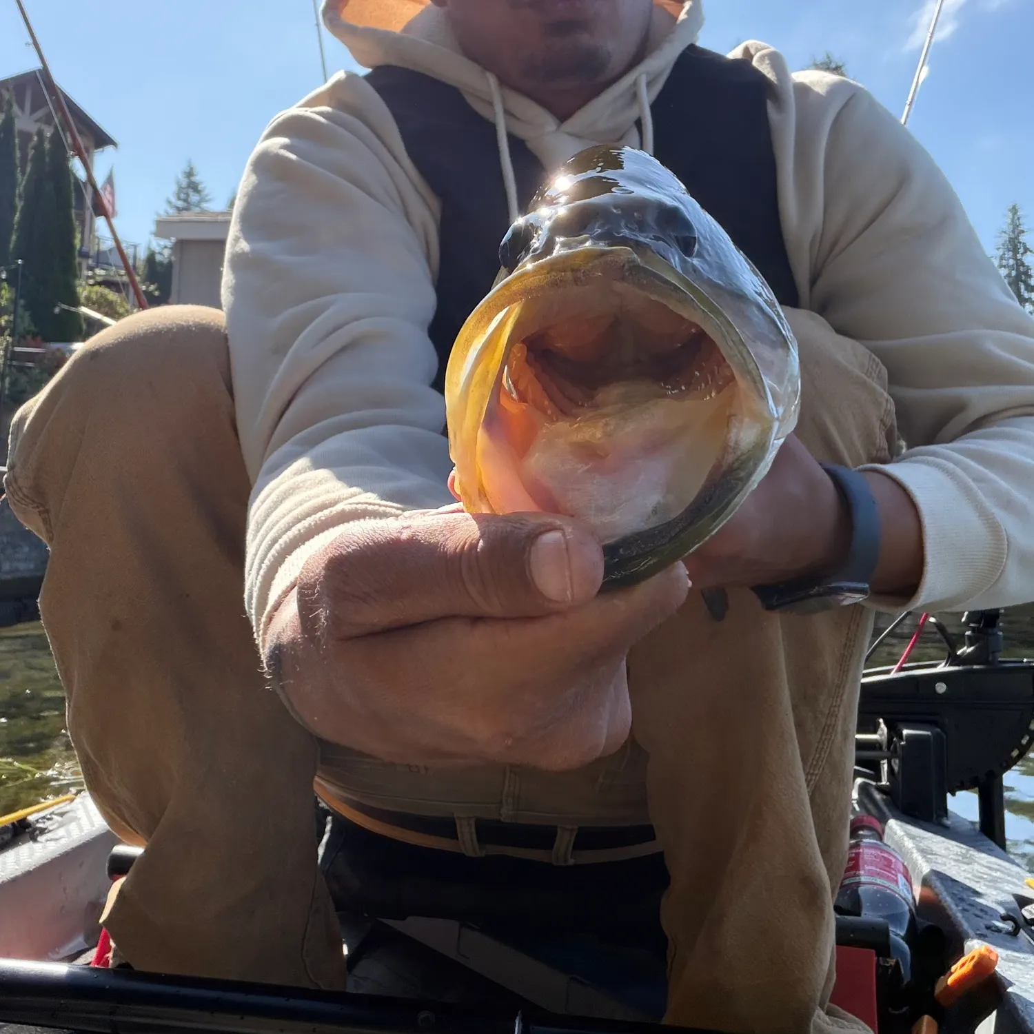 catch