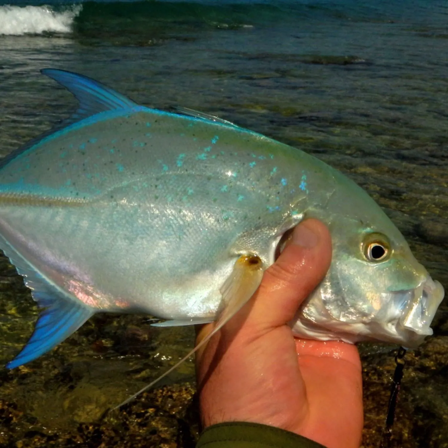 Fishing in India ️️️️ Explore the best fishing spots and areas