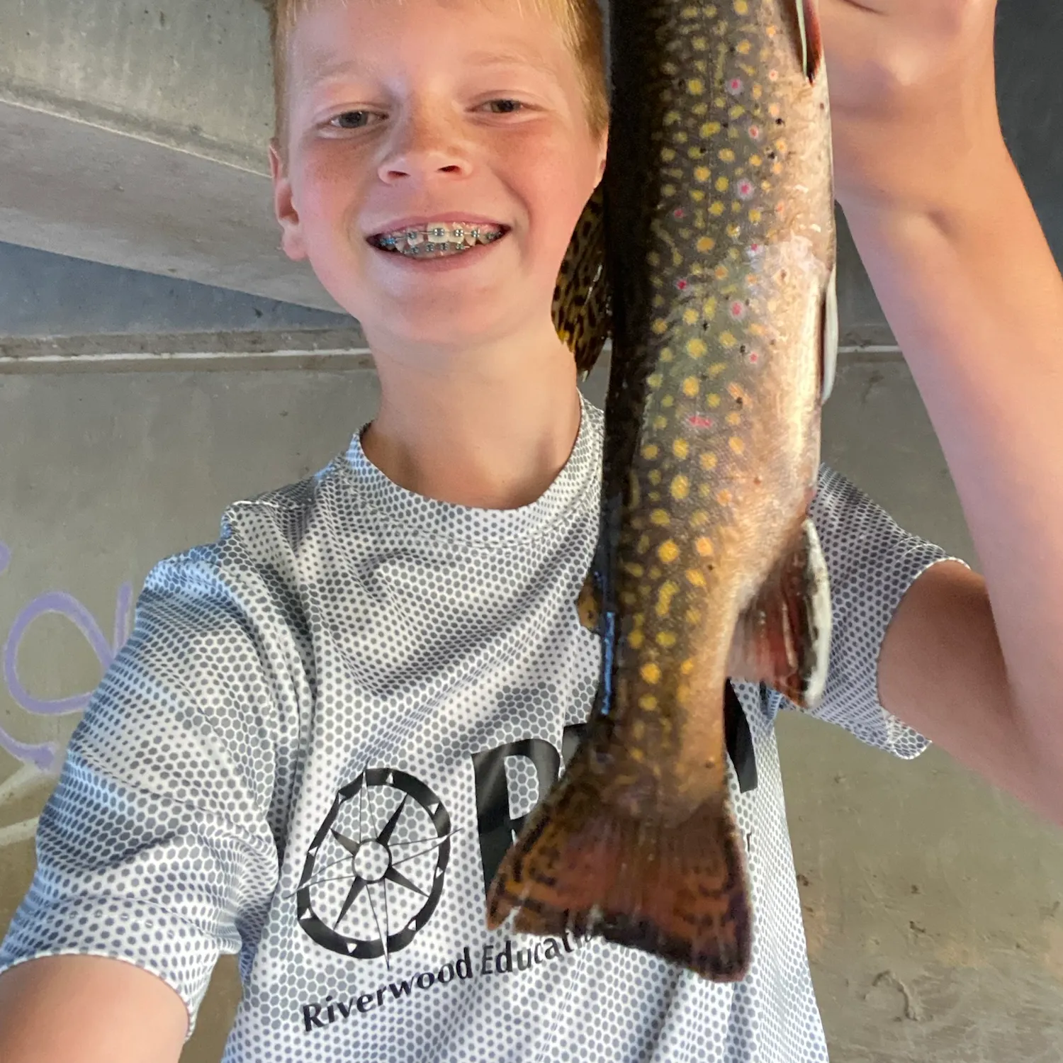 Brook trout caught on Fishbrain