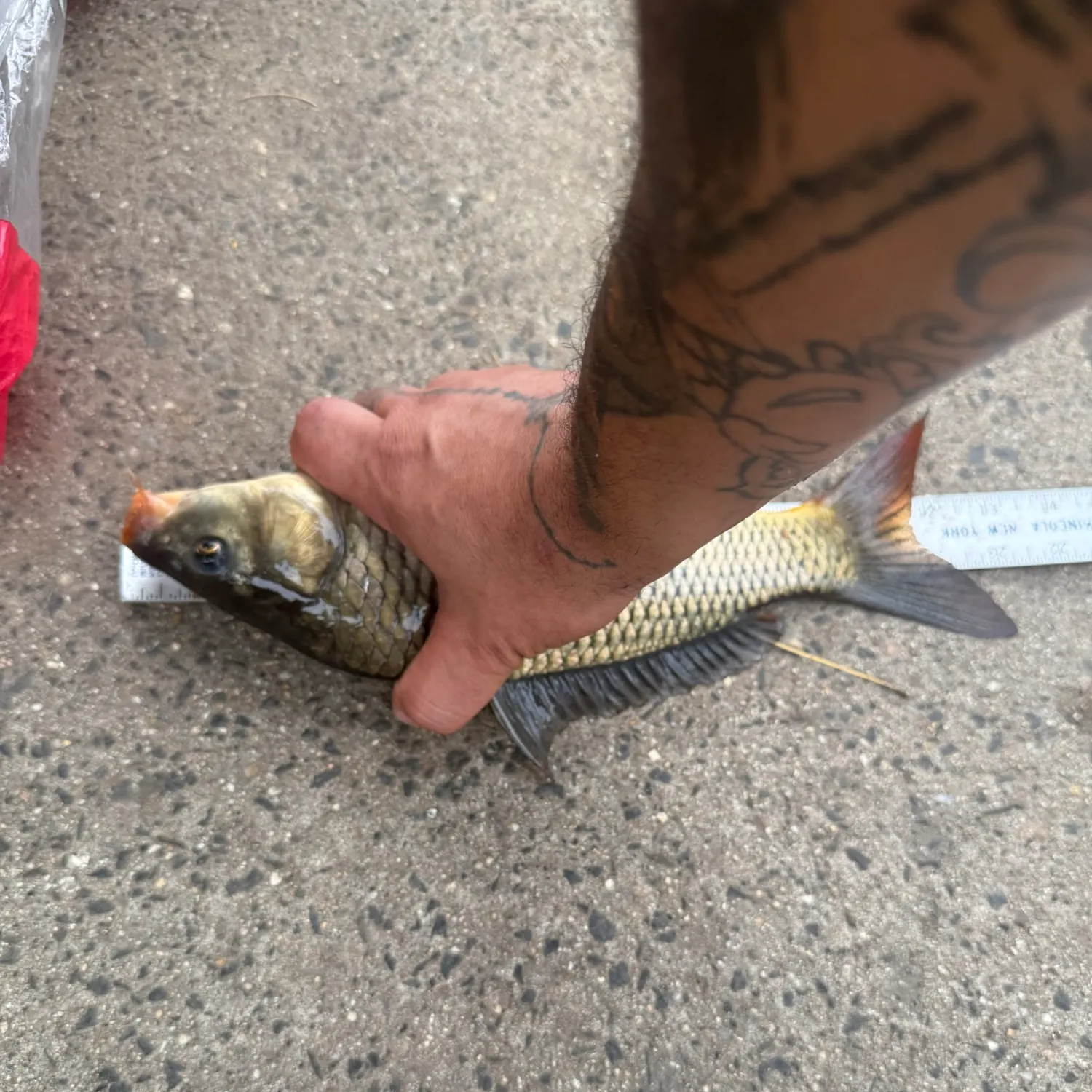 catch