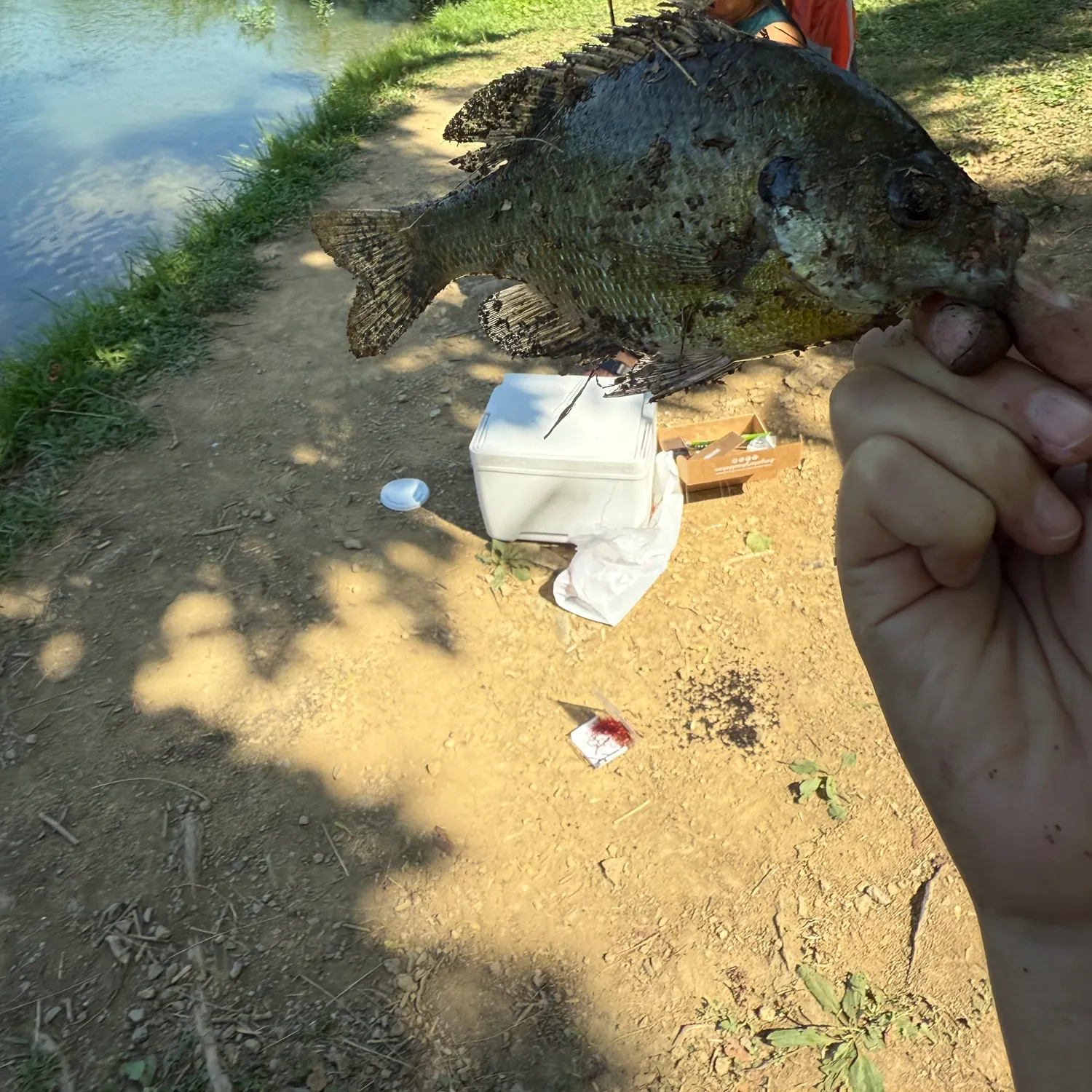 catch