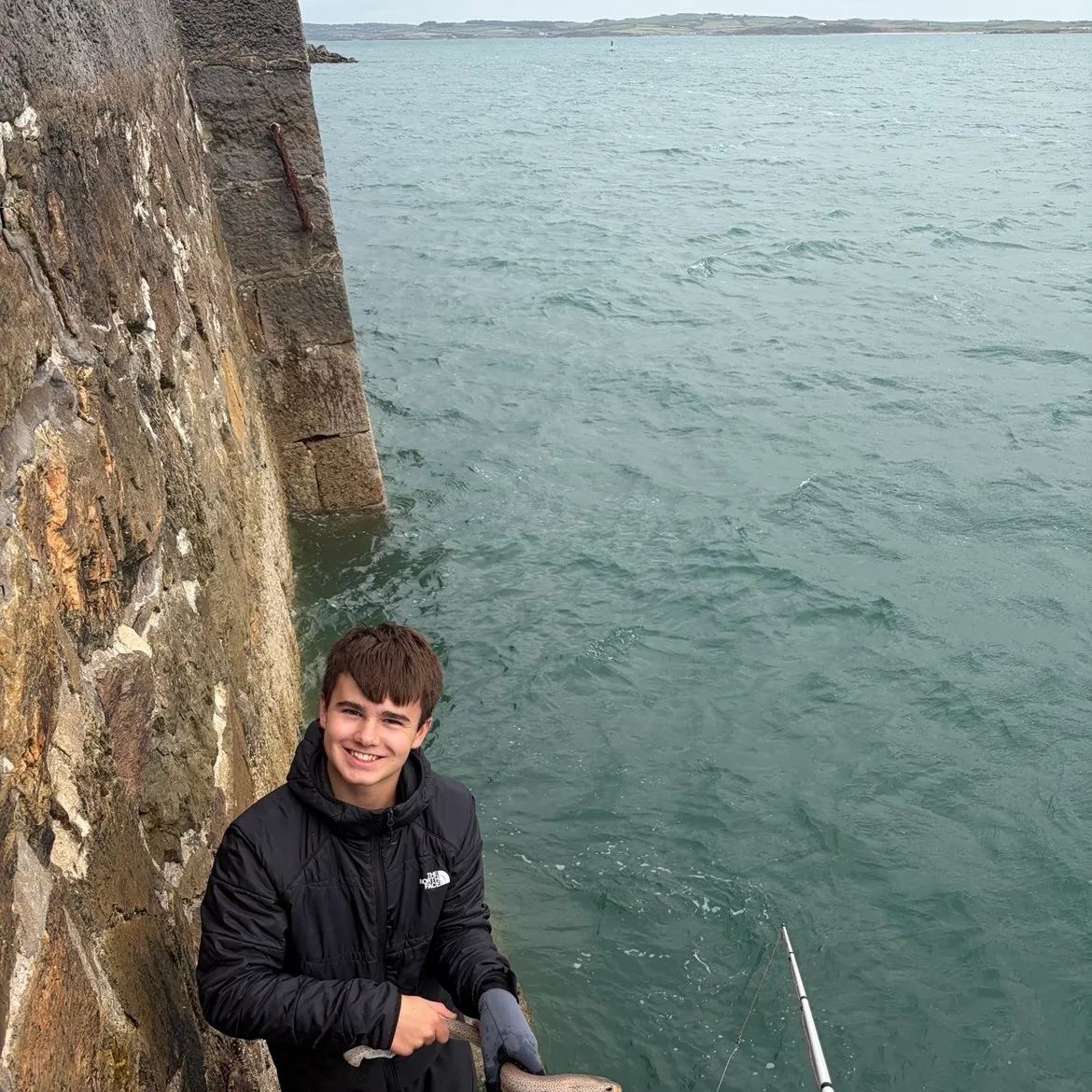 Lesser spotted dogfish caught on Fishbrain