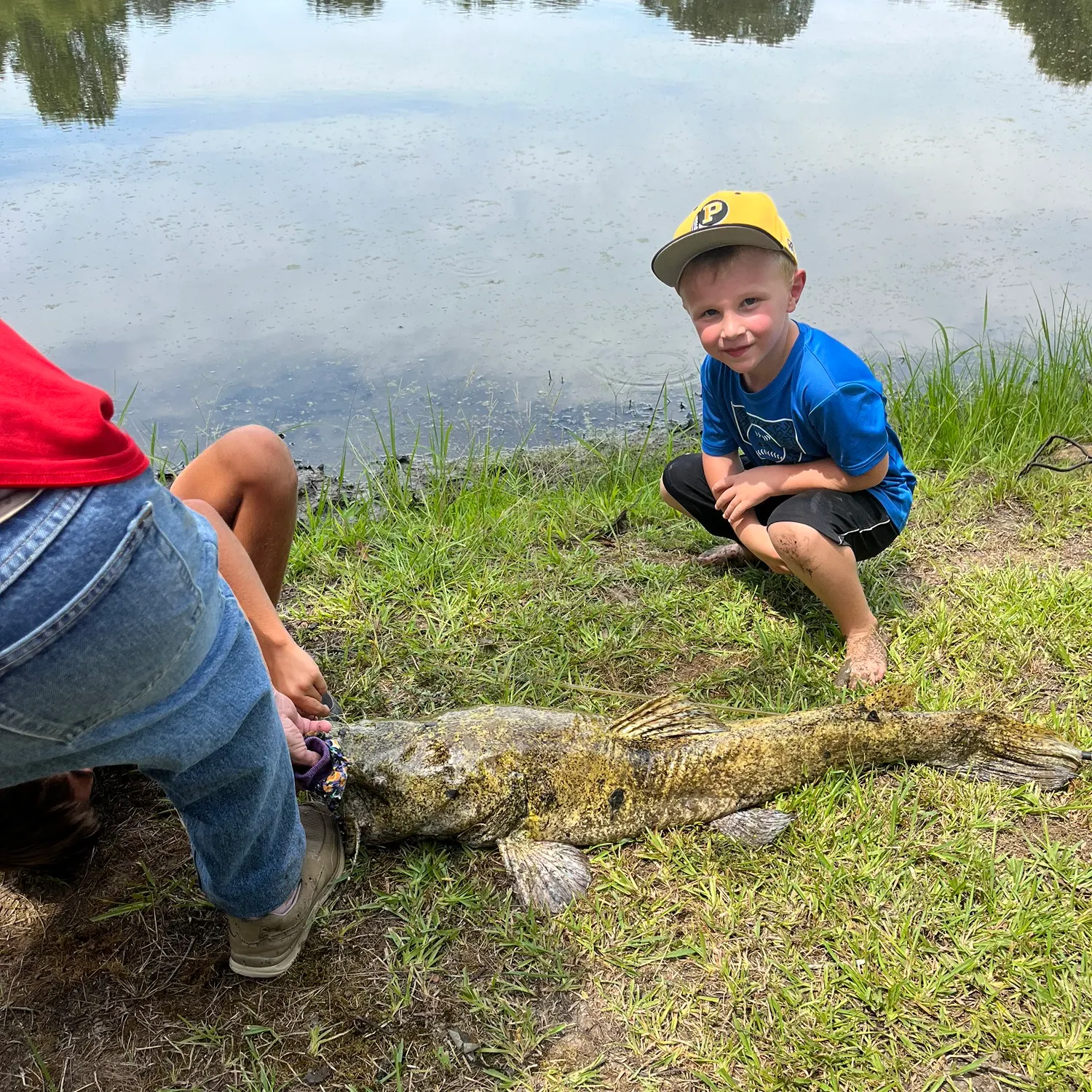 The most recent Flathead catfish catches on Fishbrain