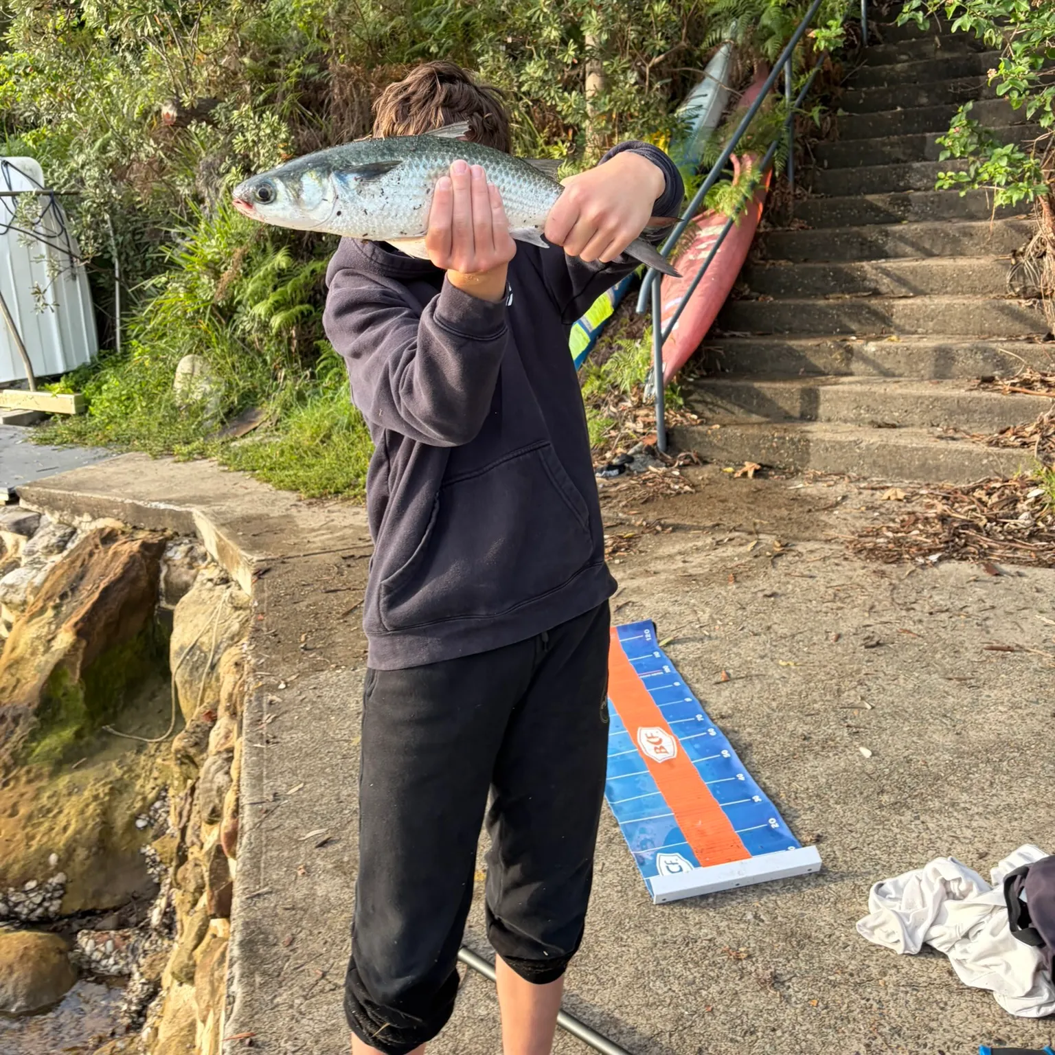 The most recent Striped mullet catches on Fishbrain