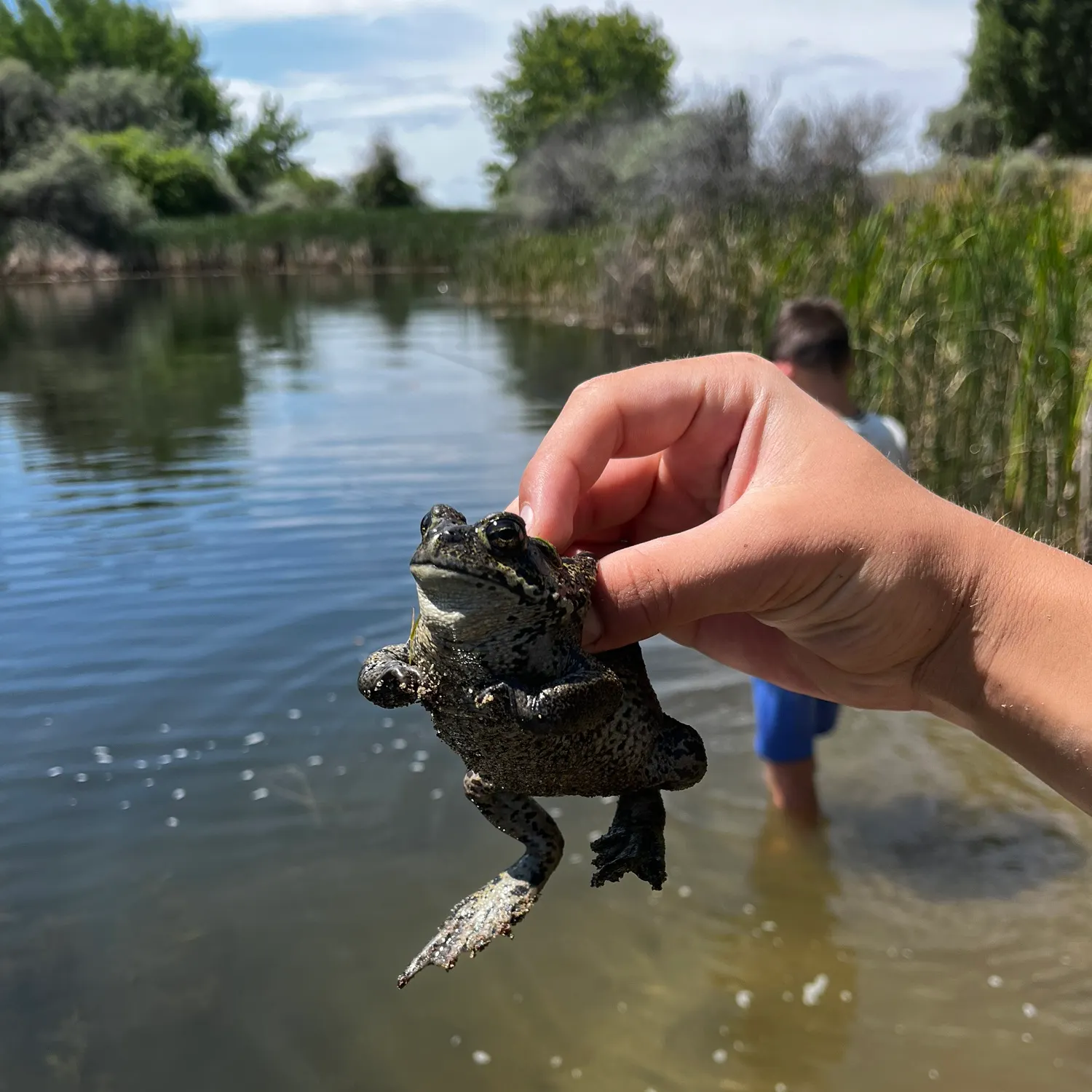 catch