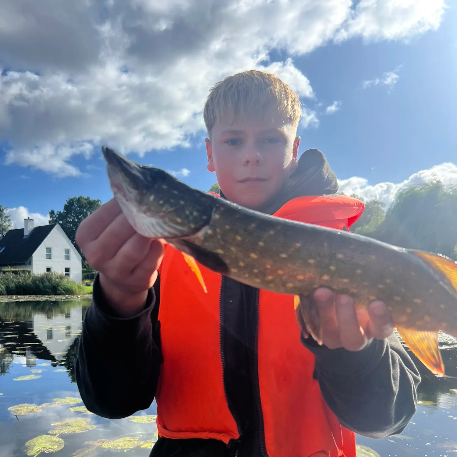 Northern pike caught on Fishbrain