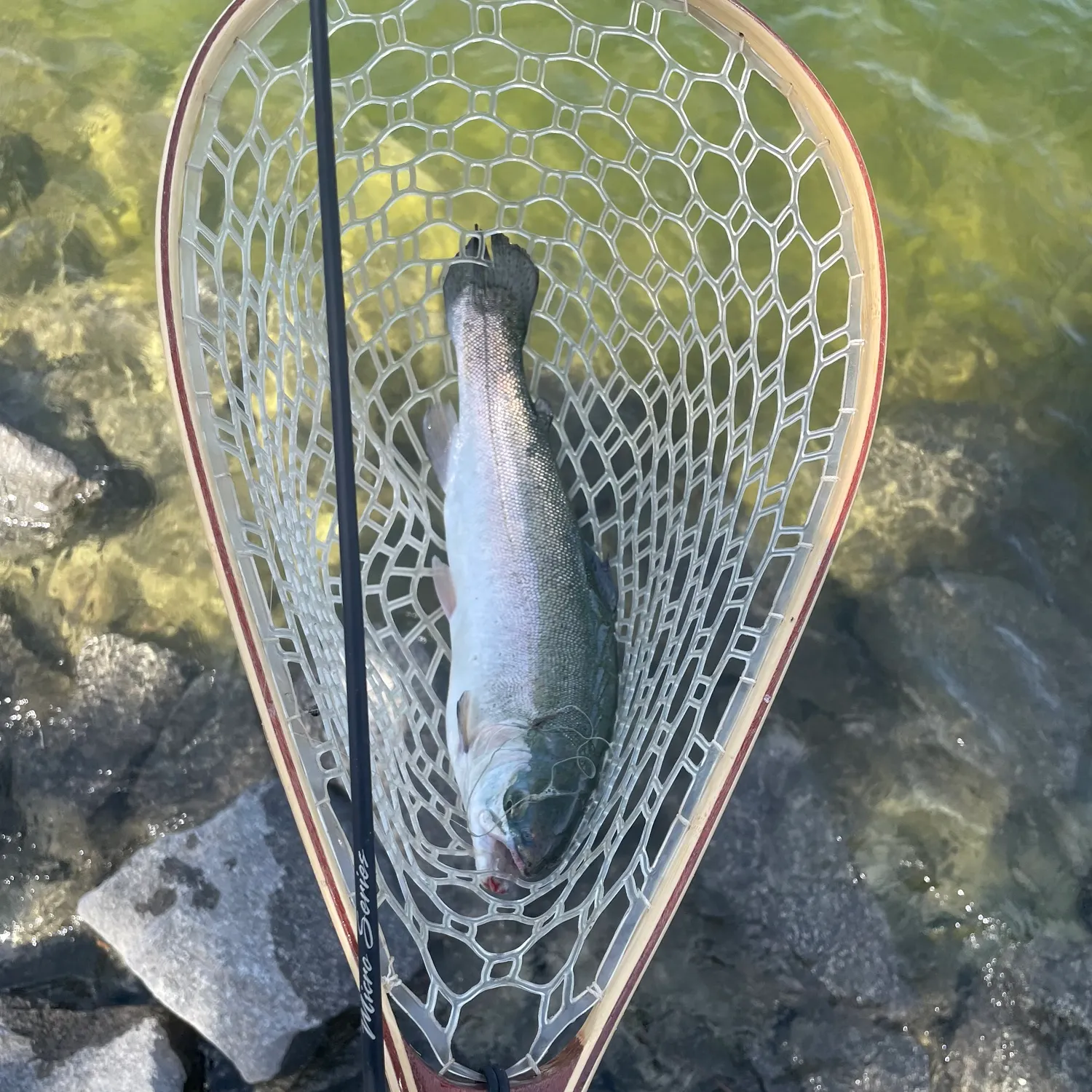 angler catch