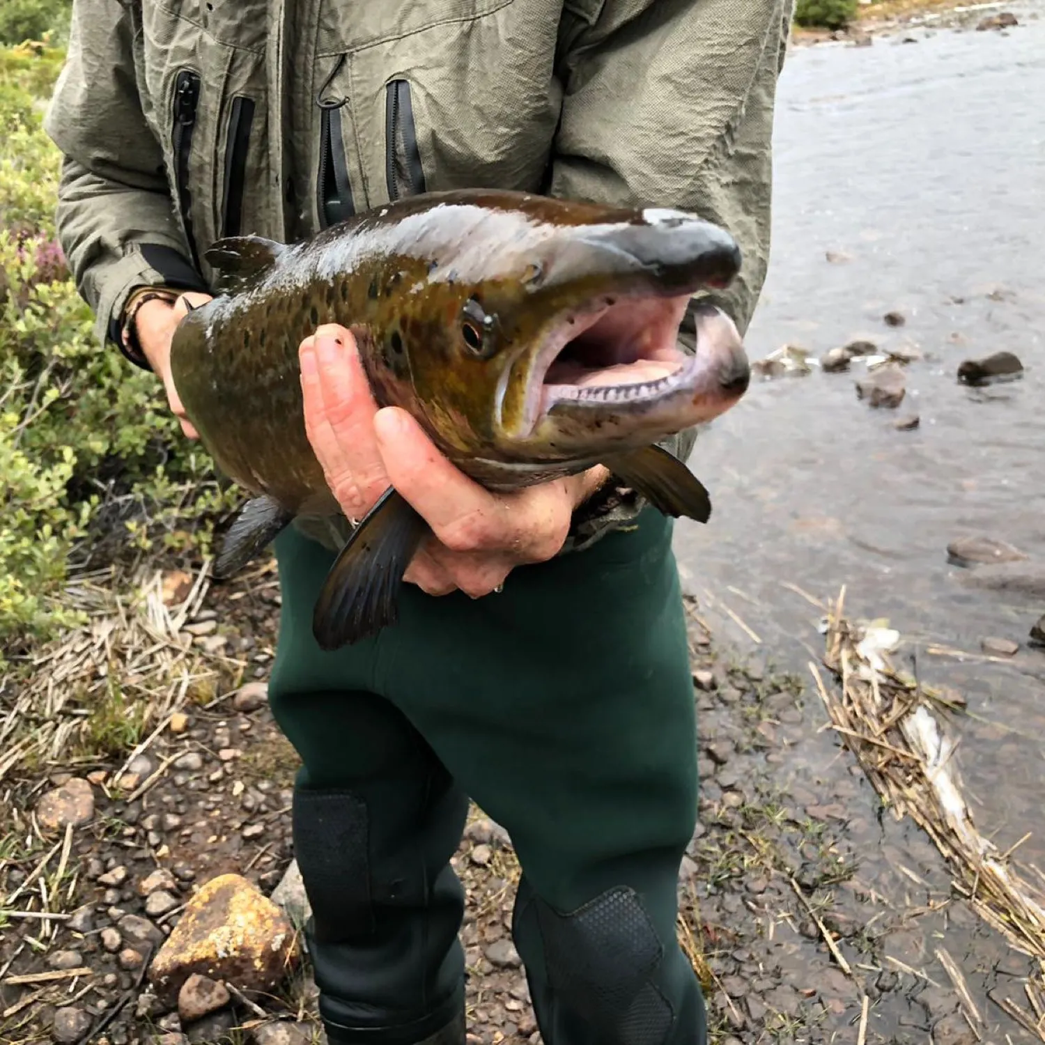 catch
