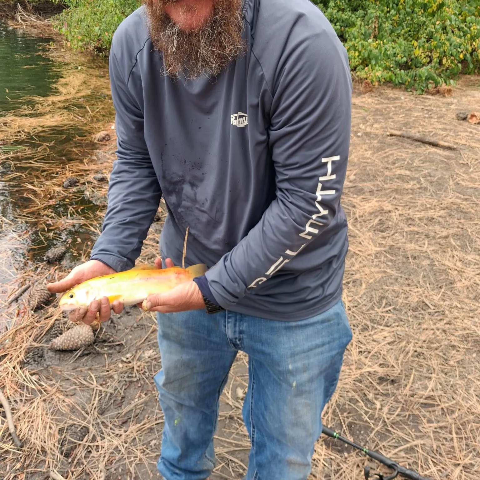 Fish caught on Fishbrain