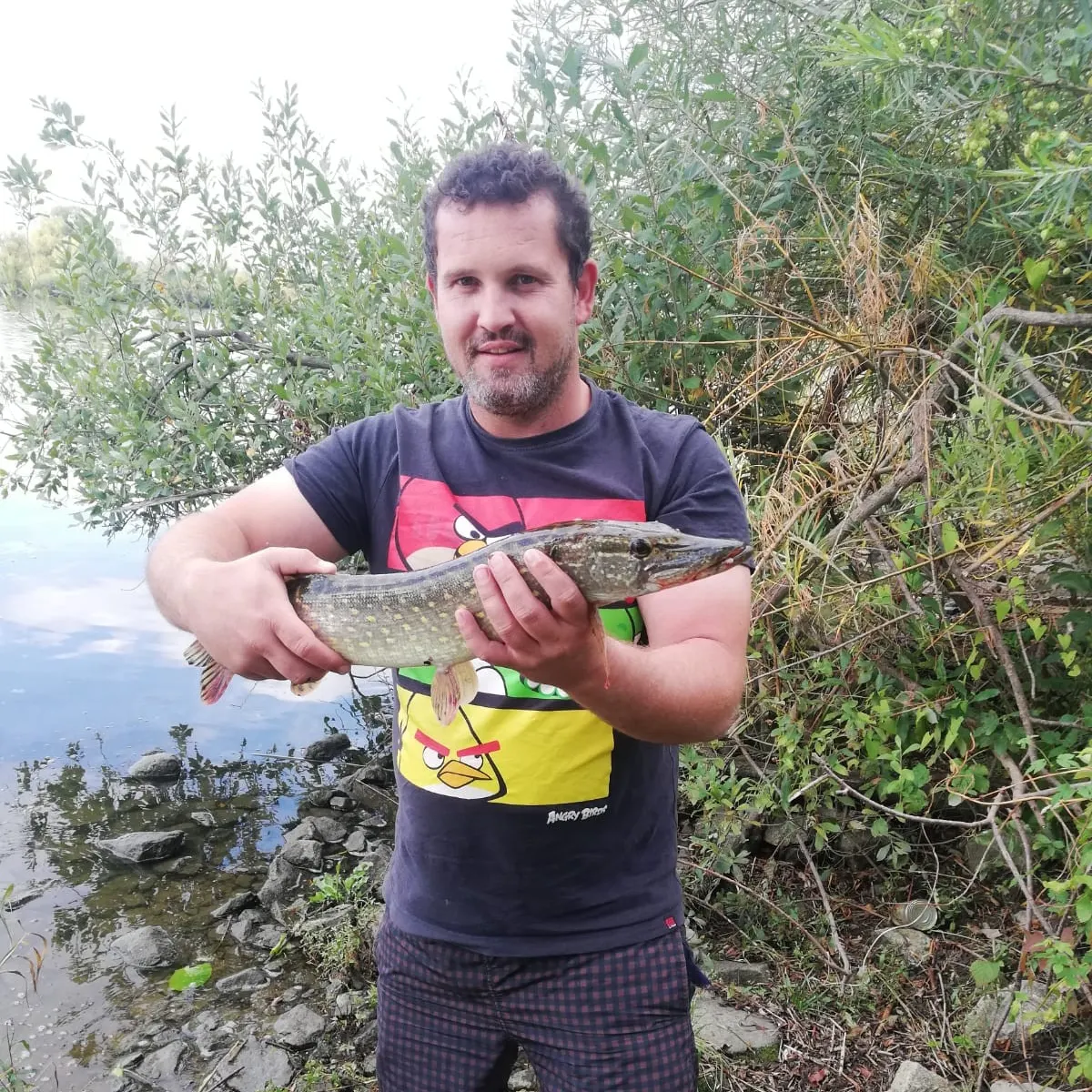 angler catch