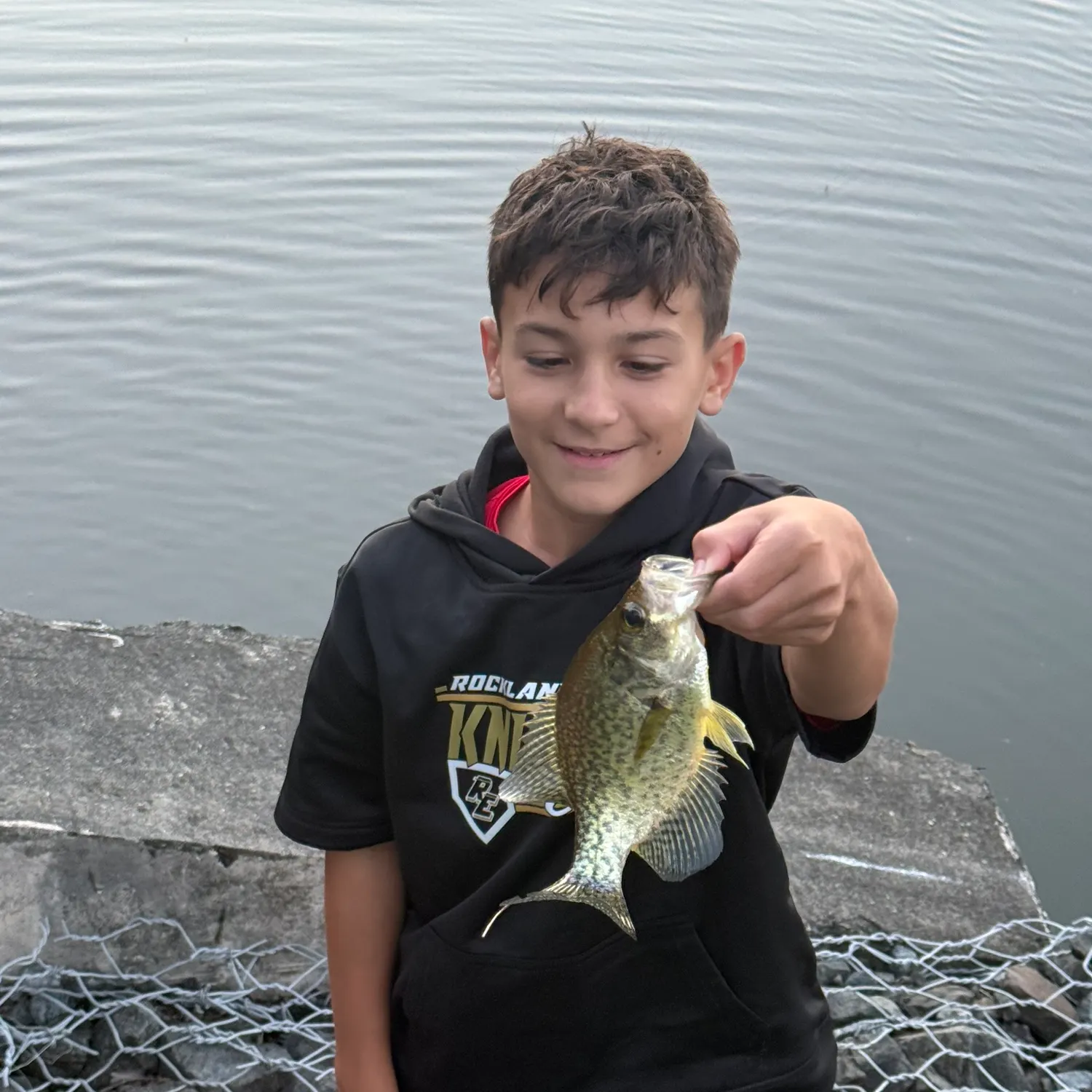 Black crappie caught on Fishbrain