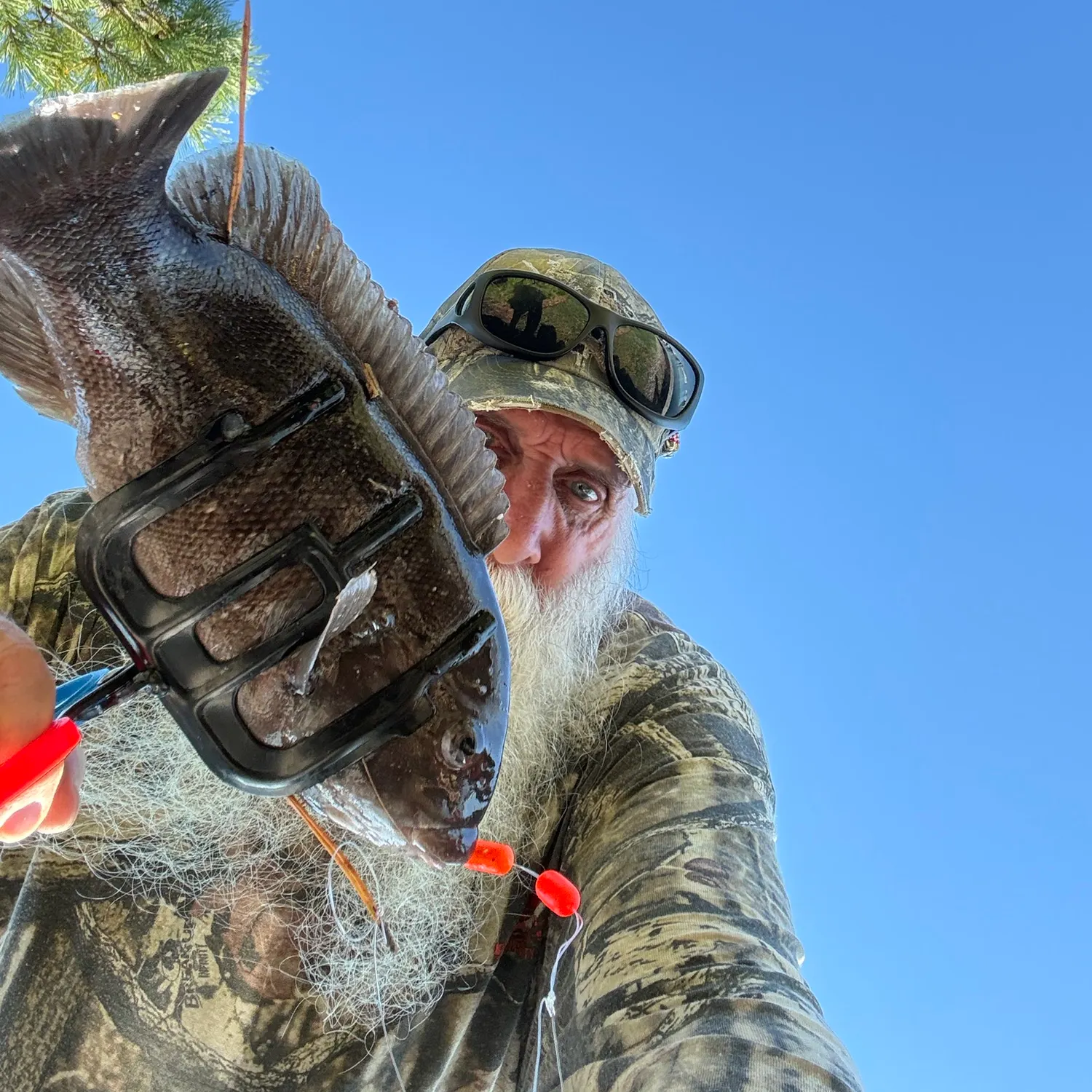 Fish caught on Fishbrain