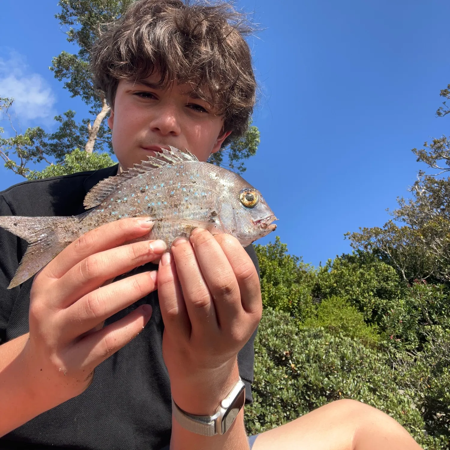 The most recent Australasian snapper catches on Fishbrain