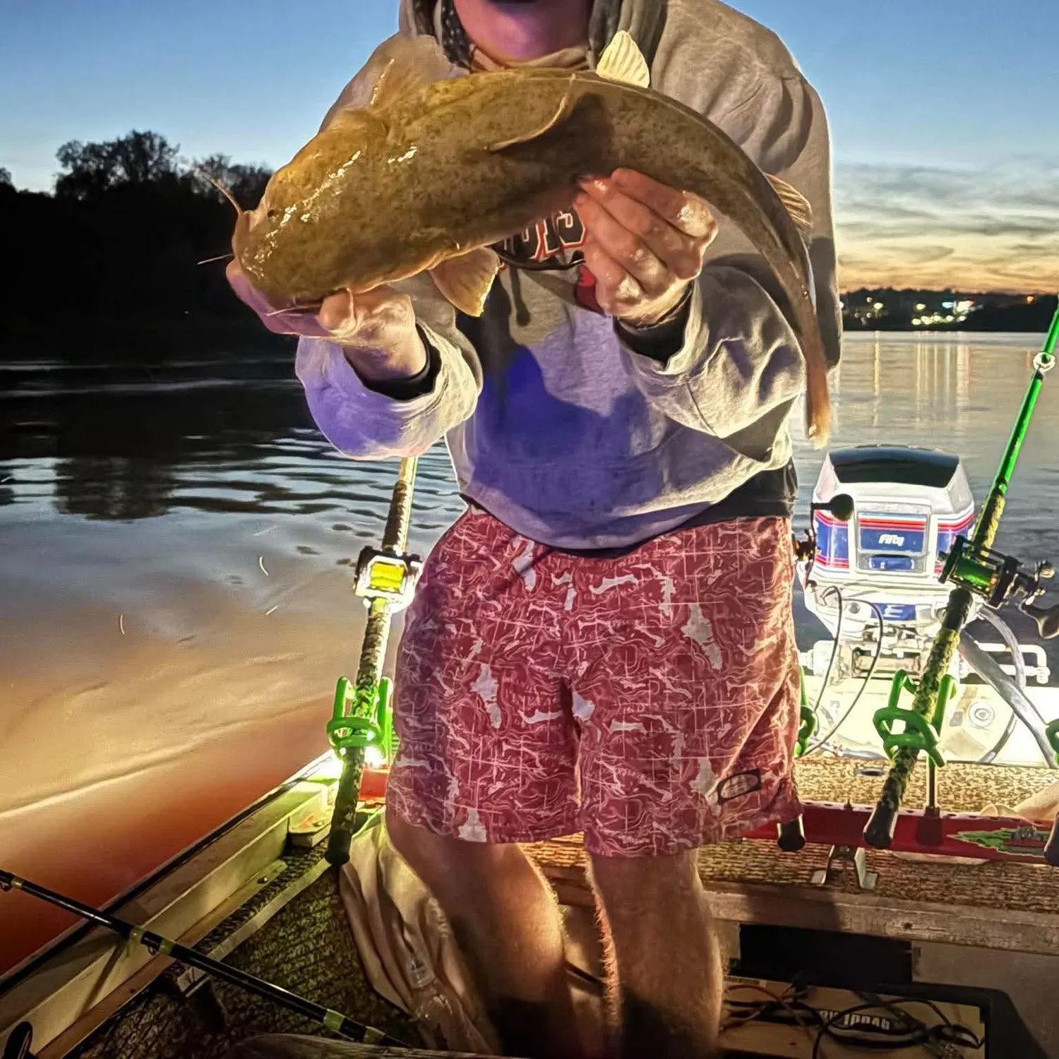 Flathead catfish caught on Fishbrain