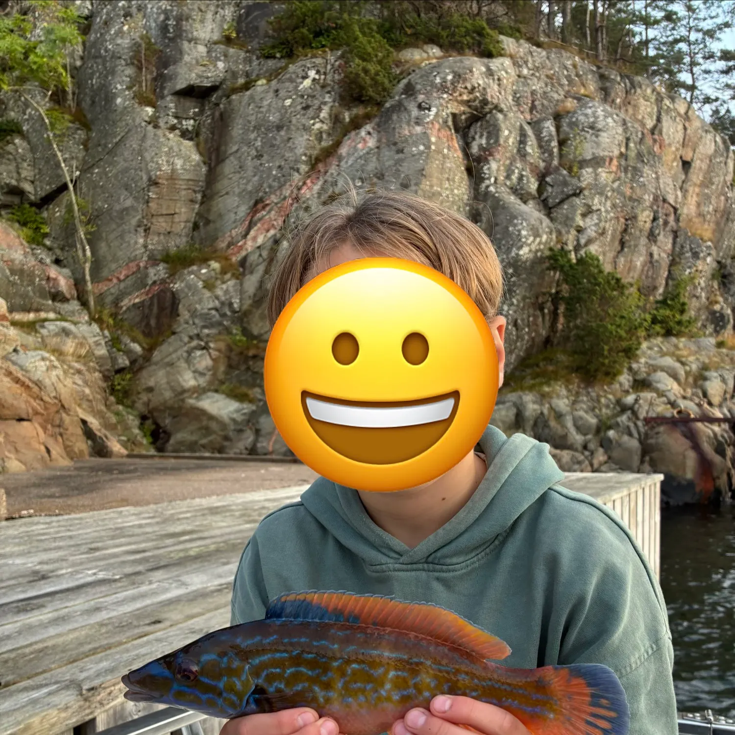 The most recent Cuckoo wrasse catches on Fishbrain