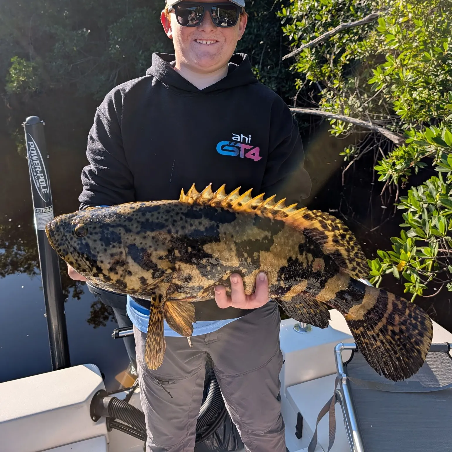 The most recent Atlantic goliath grouper catches on Fishbrain