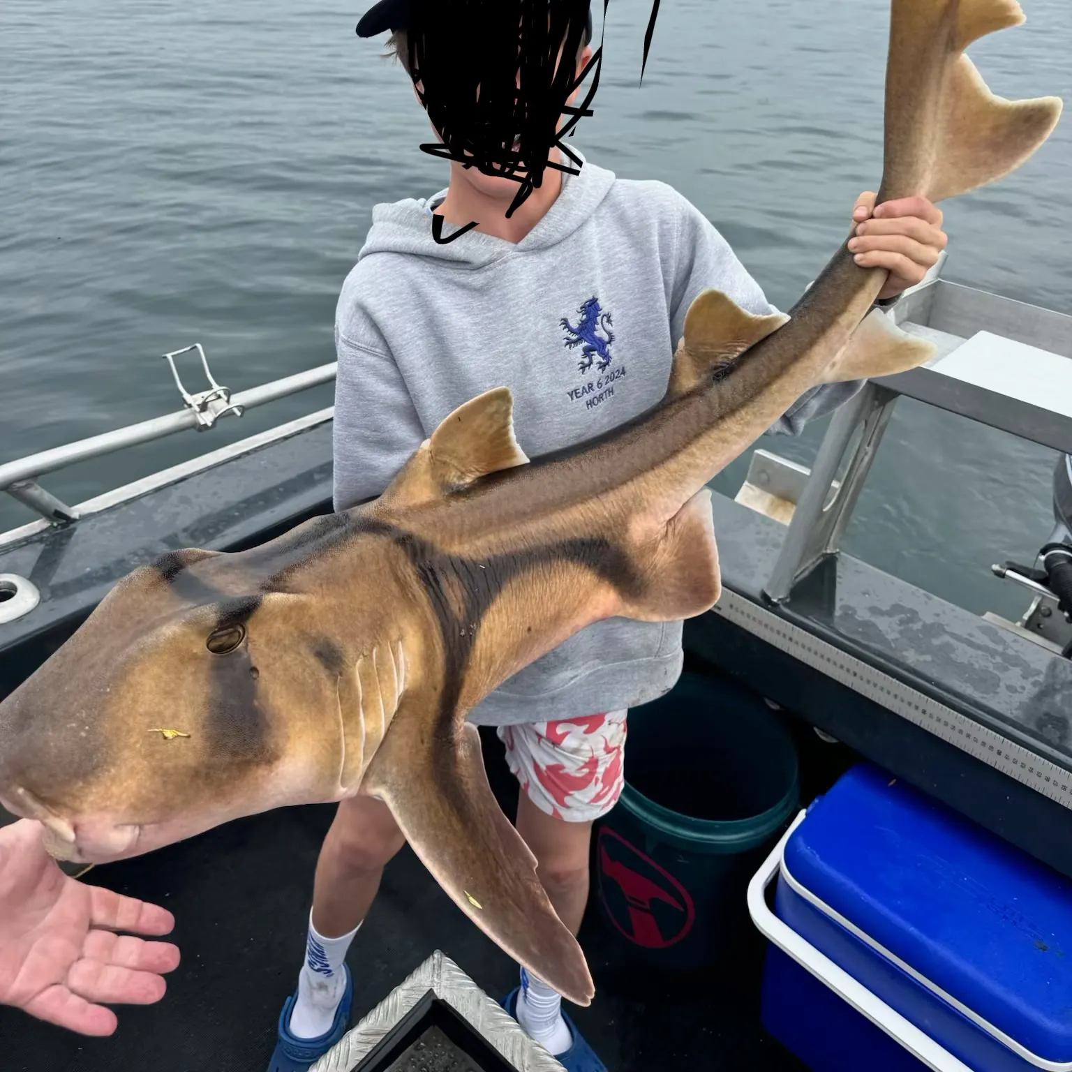 The most recent Port Jackson shark catches on Fishbrain