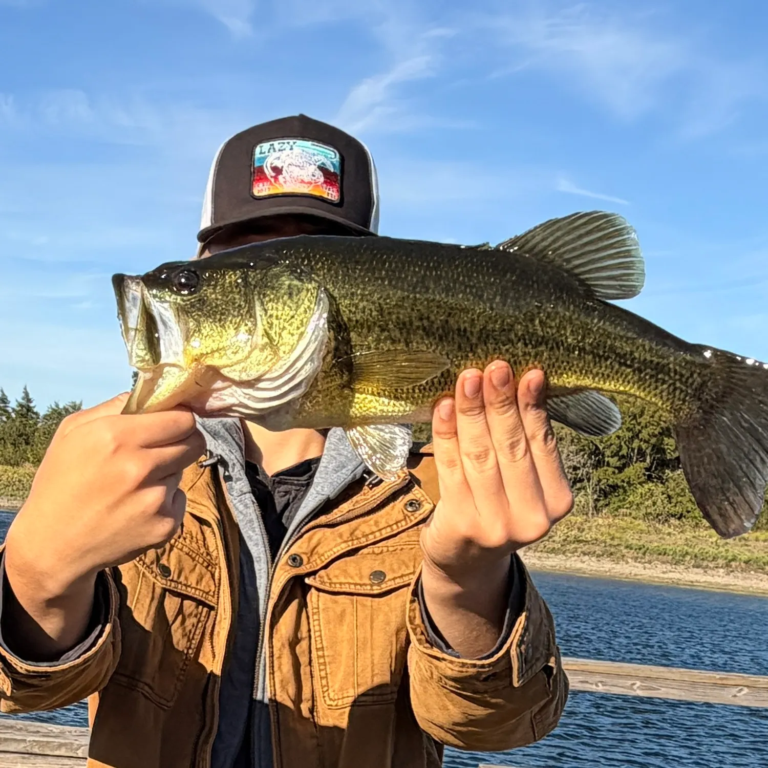 Largemouth bass caught on Fishbrain
