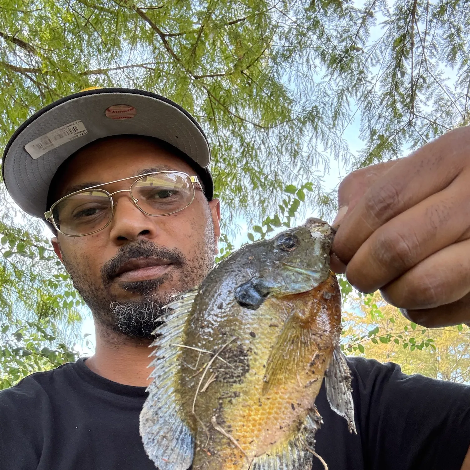 Bluegill caught on Fishbrain