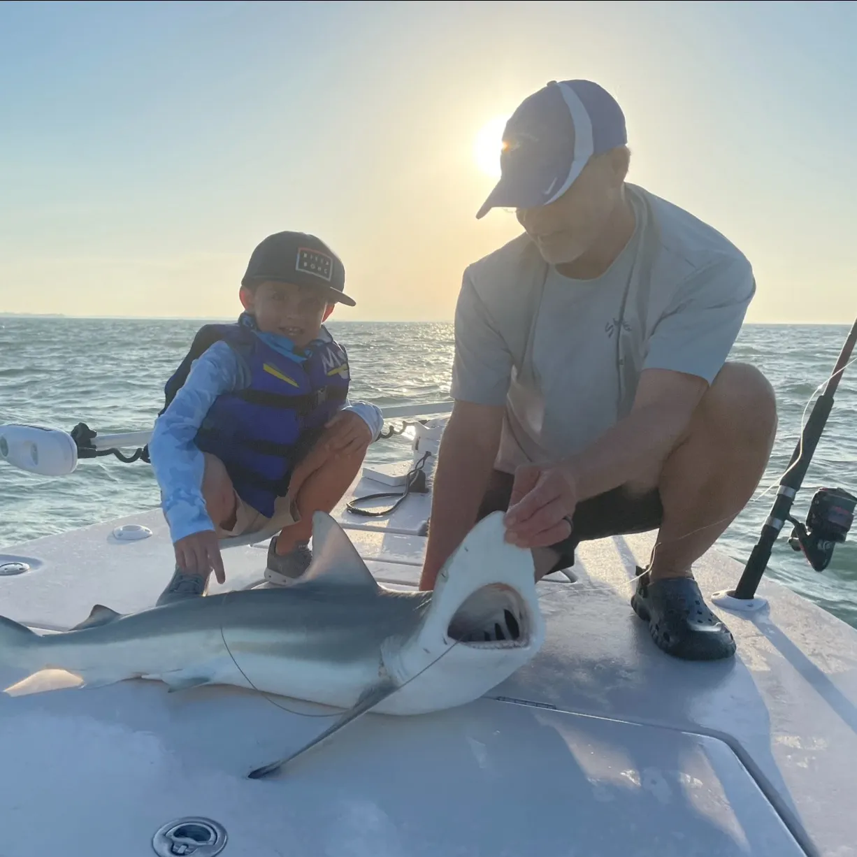 The most recent Blacktip shark catches on Fishbrain