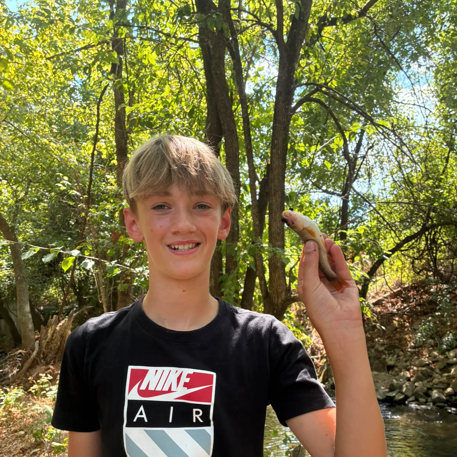 Creek chub caught on Fishbrain
