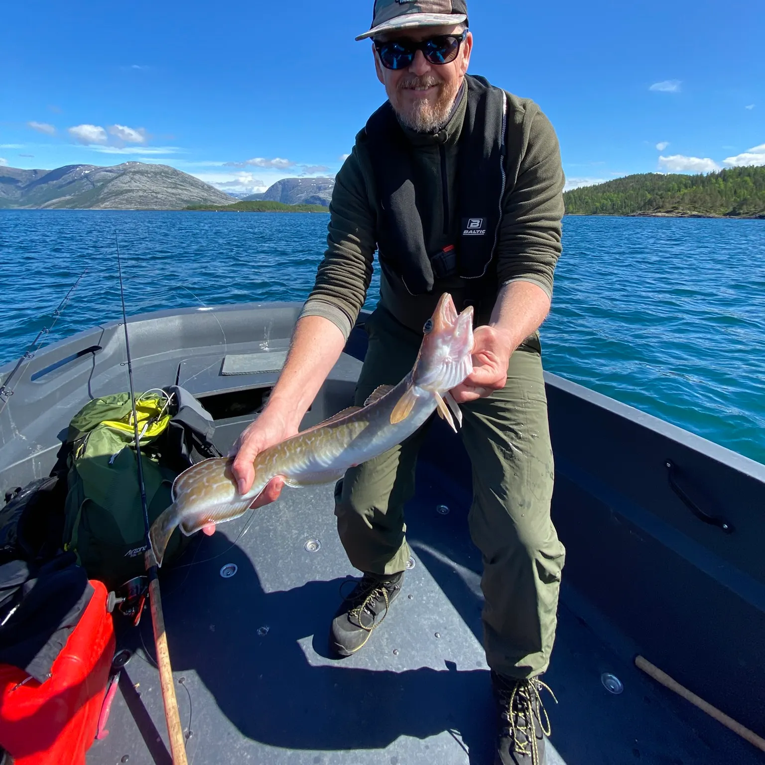 The most recent Common ling catches on Fishbrain