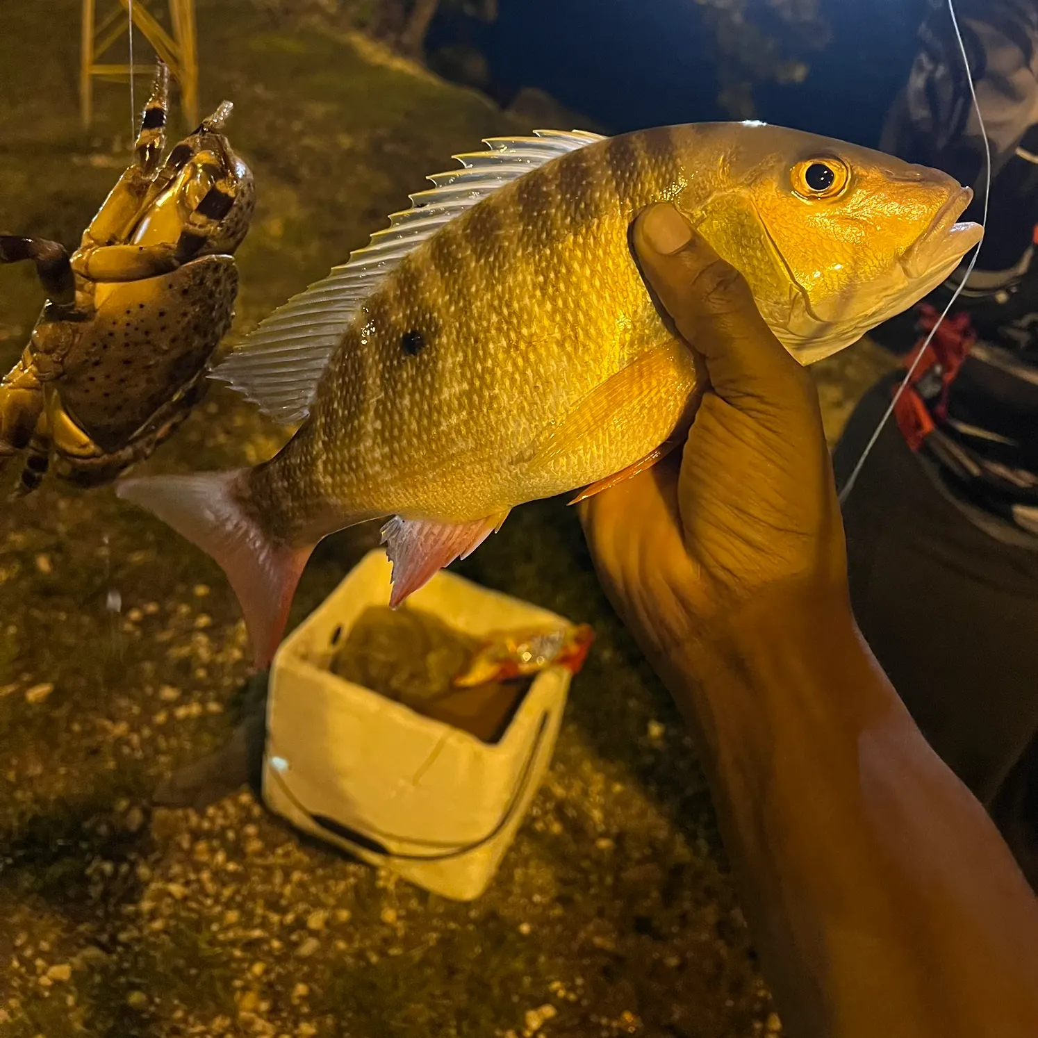 most liked catch image