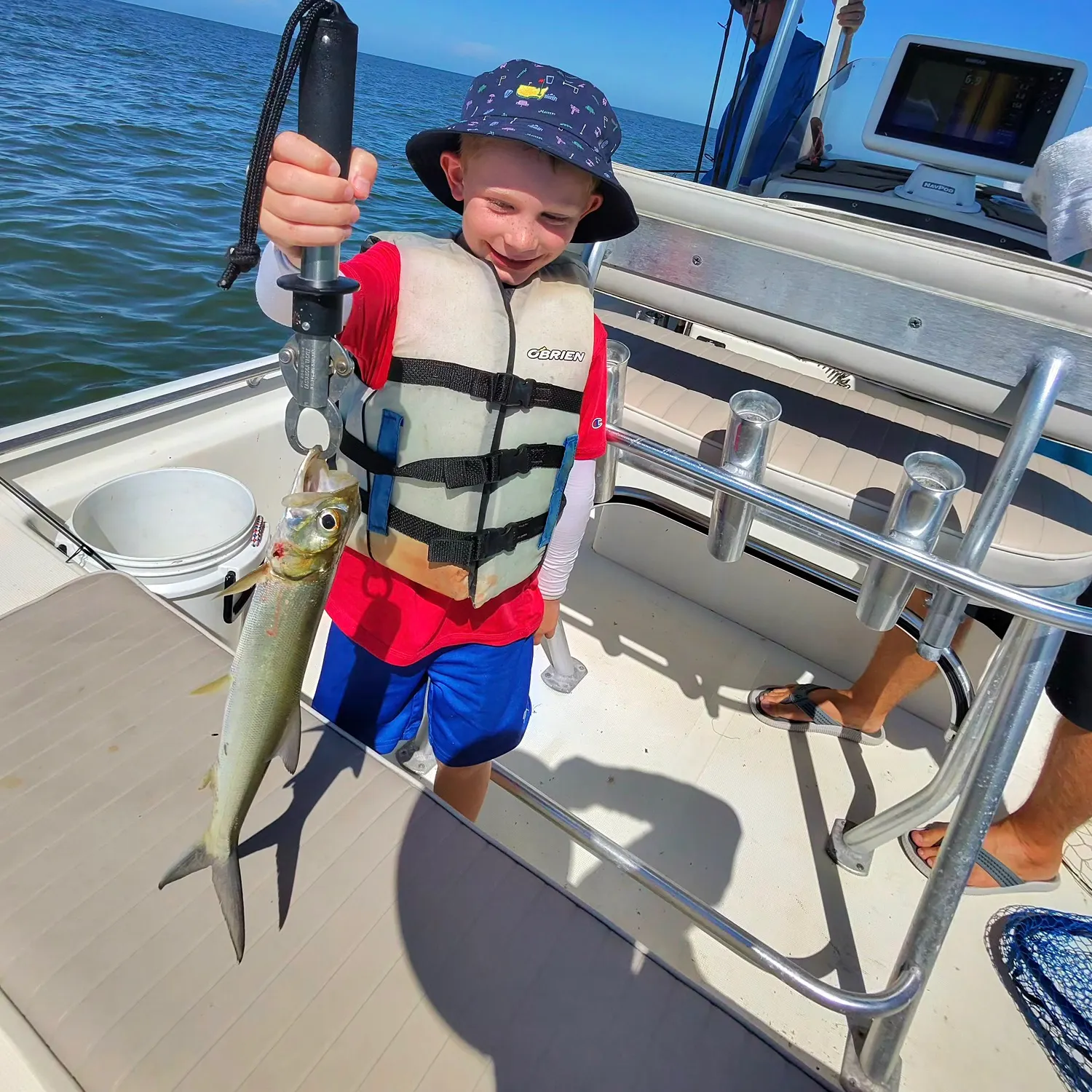 The most recent Ladyfish catches on Fishbrain