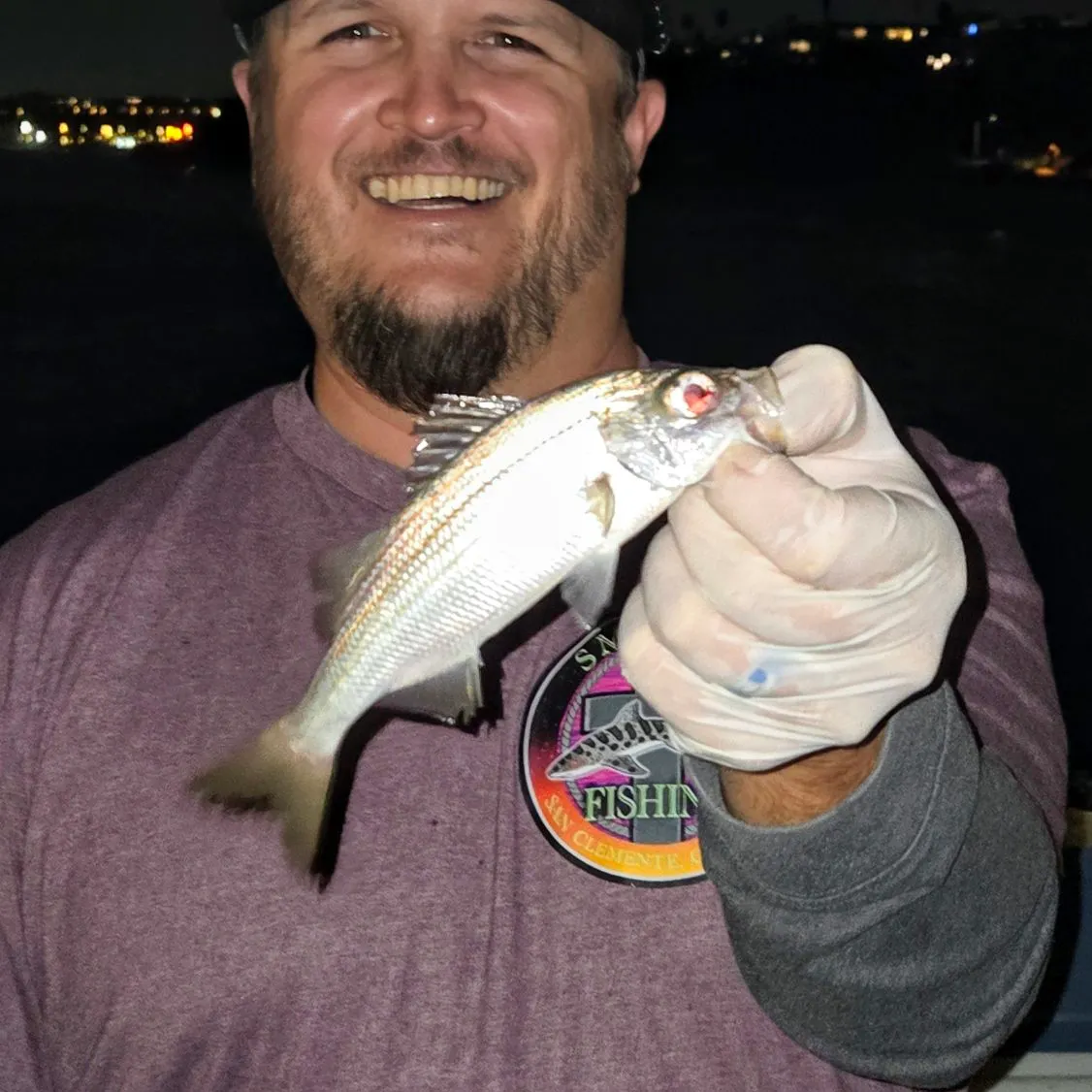 The most recent Californian salema catches on Fishbrain