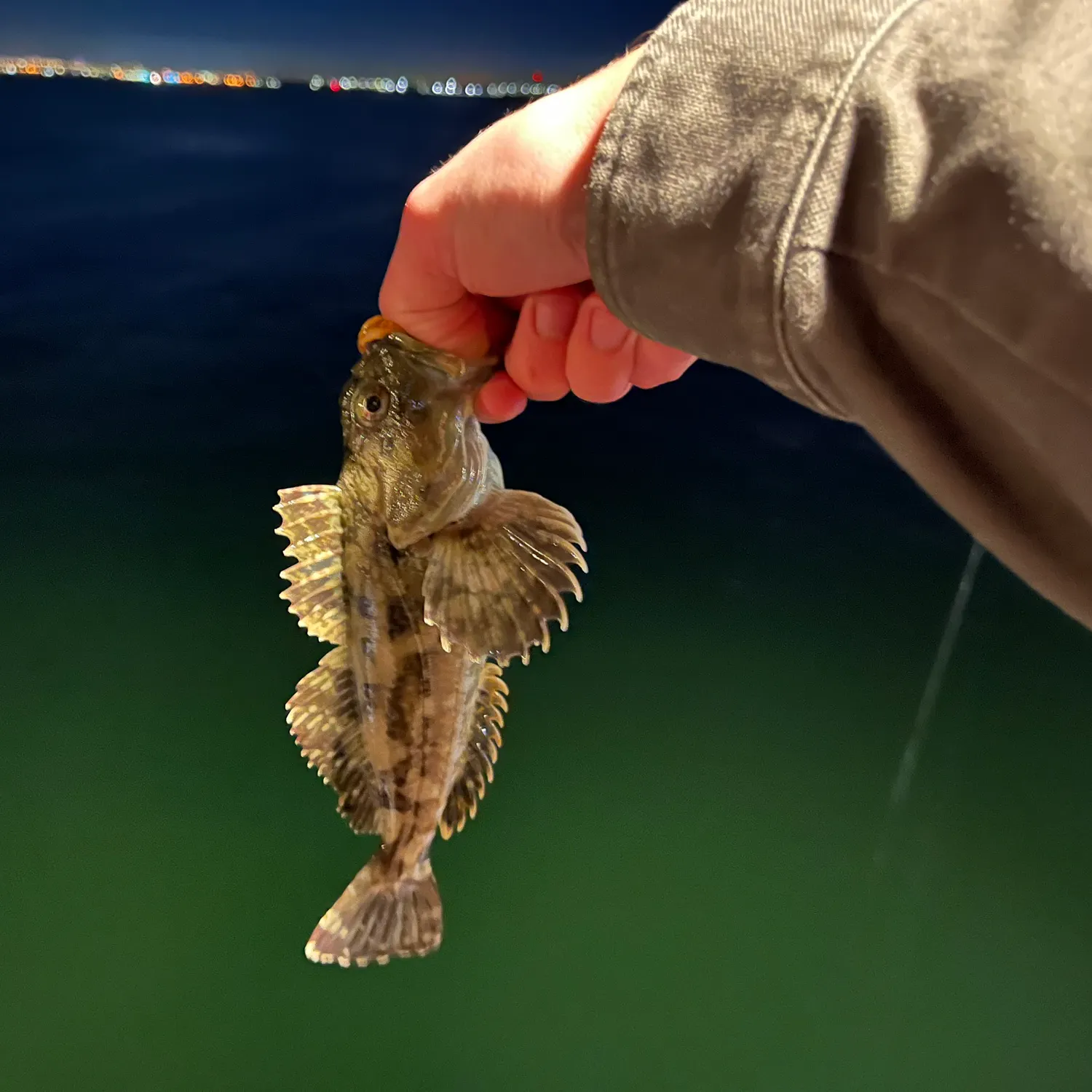 The most recent Pacific staghorn sculpin catches on Fishbrain