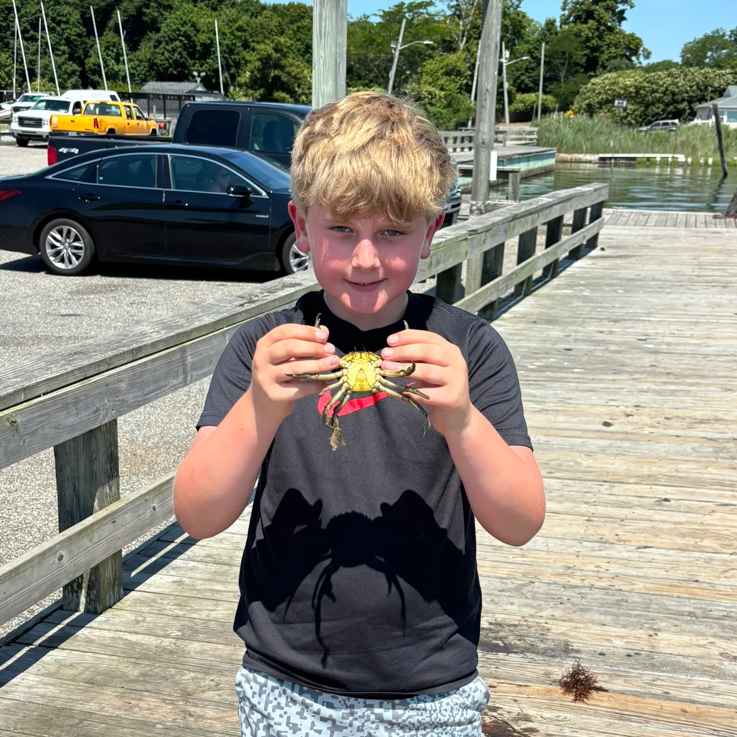 The most recent Giant mud crab catches on Fishbrain