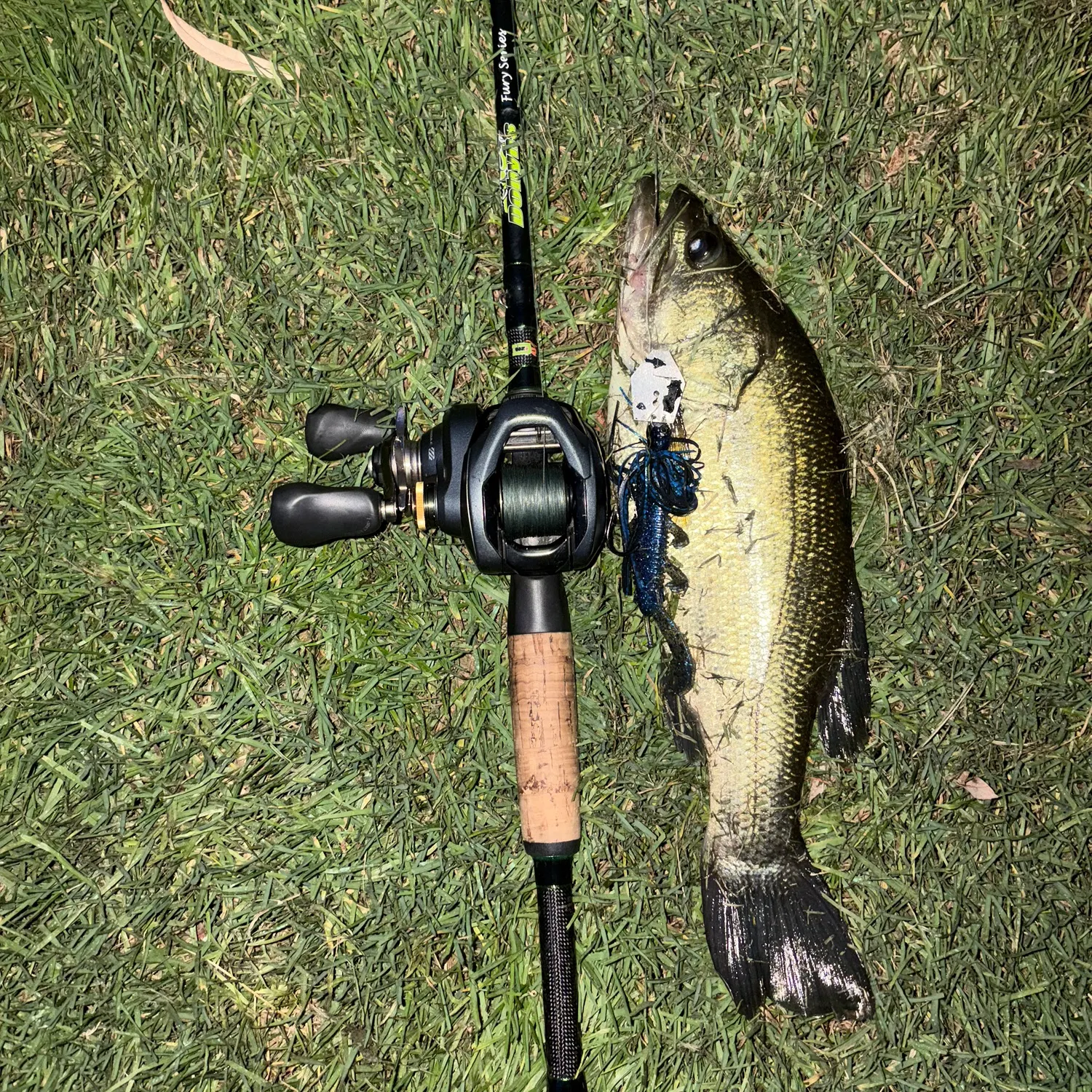 Largemouth bass caught on Fishbrain