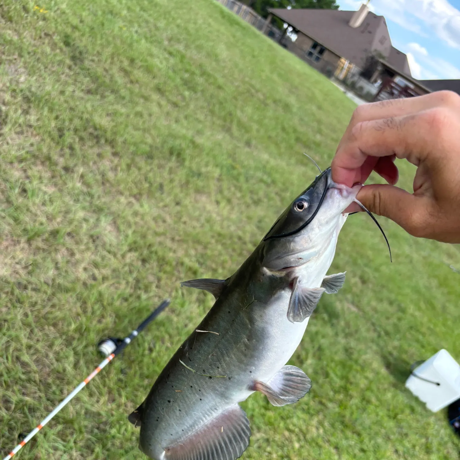 catch
