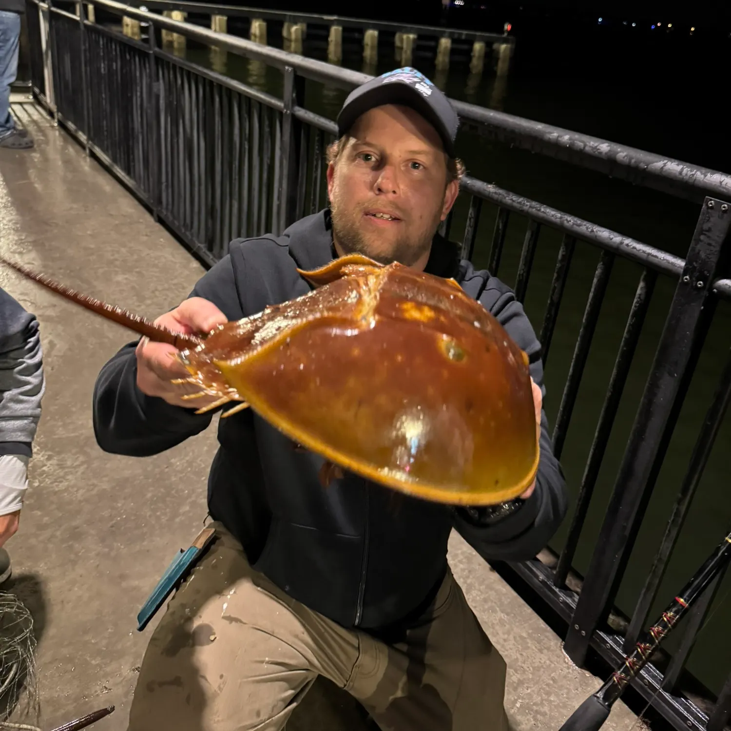 The most recent Atlantic horseshoe crab catches on Fishbrain