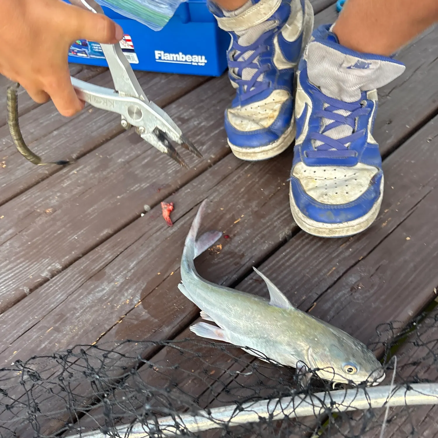catch
