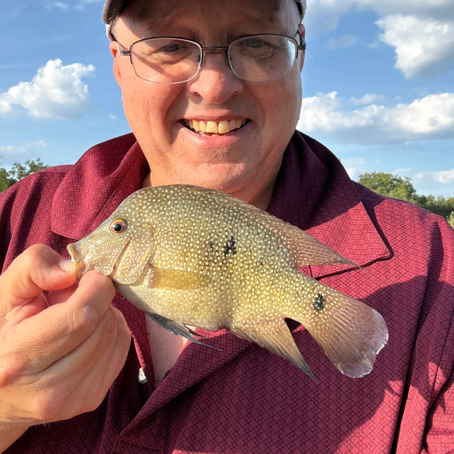 Rio Grande cichlid caught on Fishbrain
