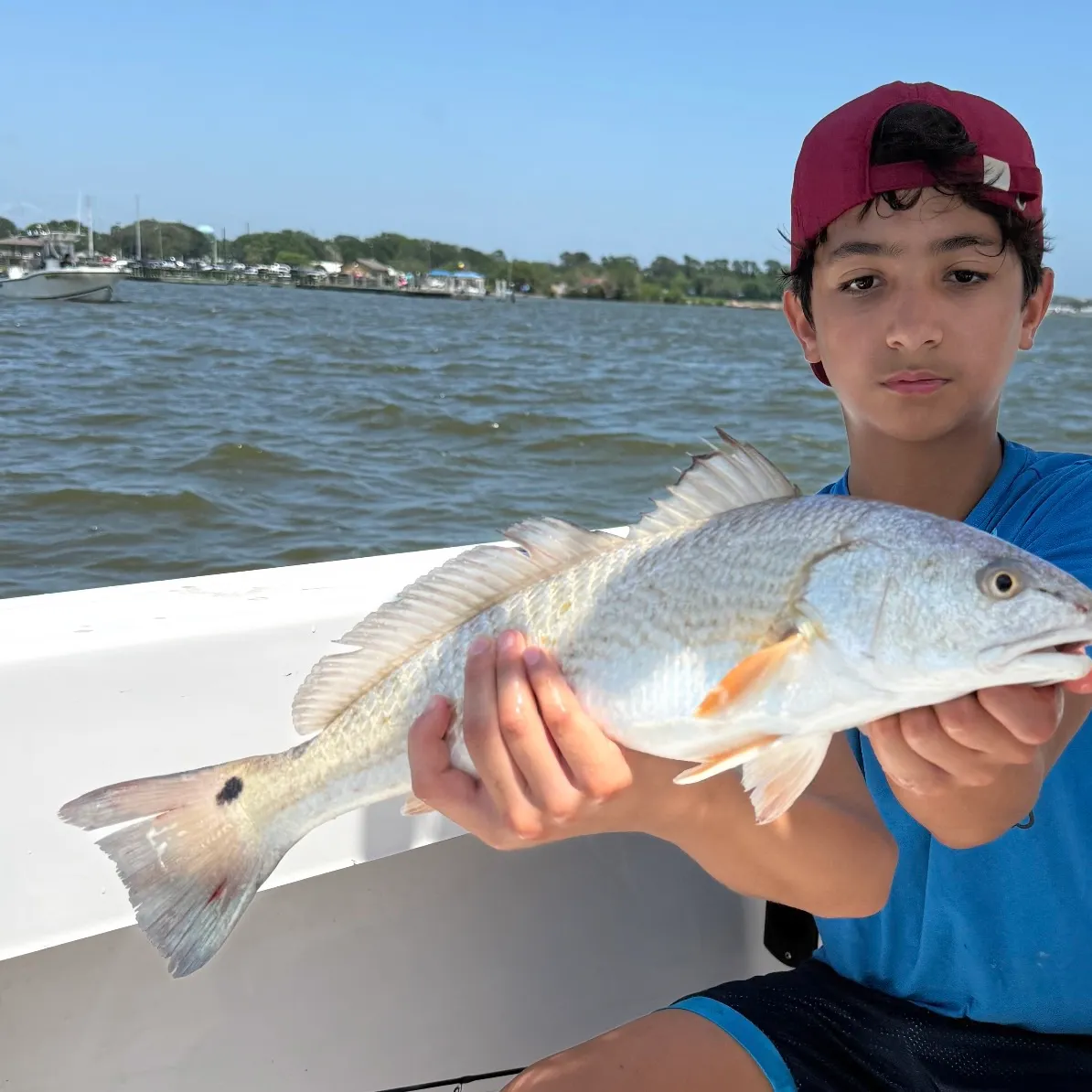 The most recent Red drum catches on Fishbrain