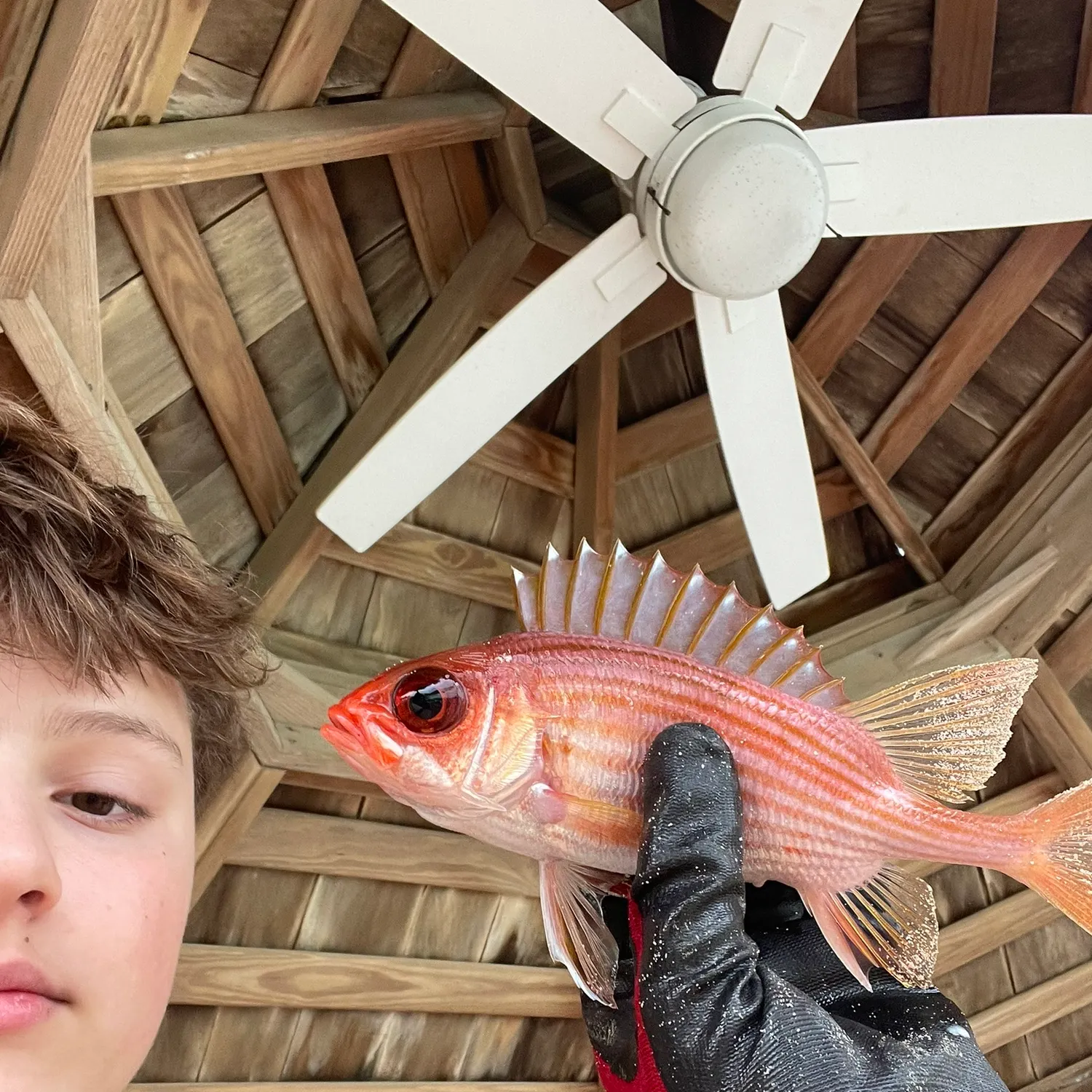 The most recent Common squirrelfish catches on Fishbrain