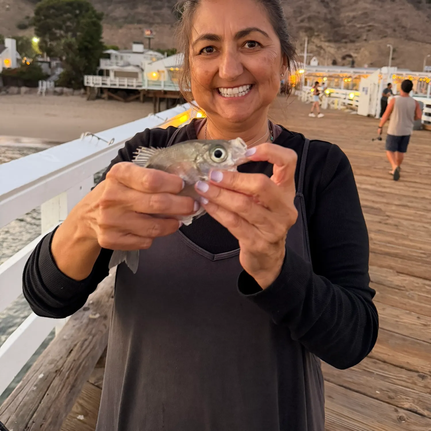Walleye surfperch caught on Fishbrain