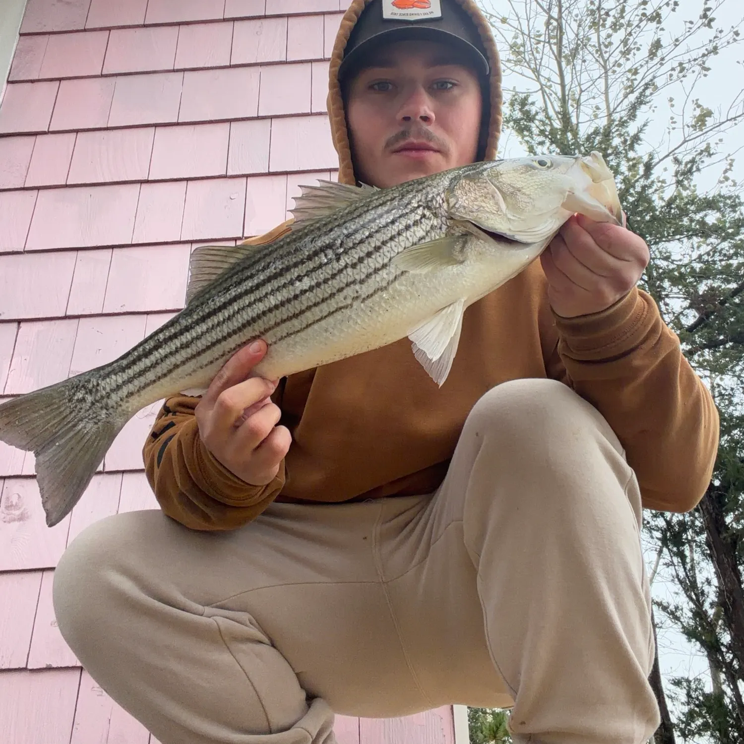Striped bass caught on Fishbrain