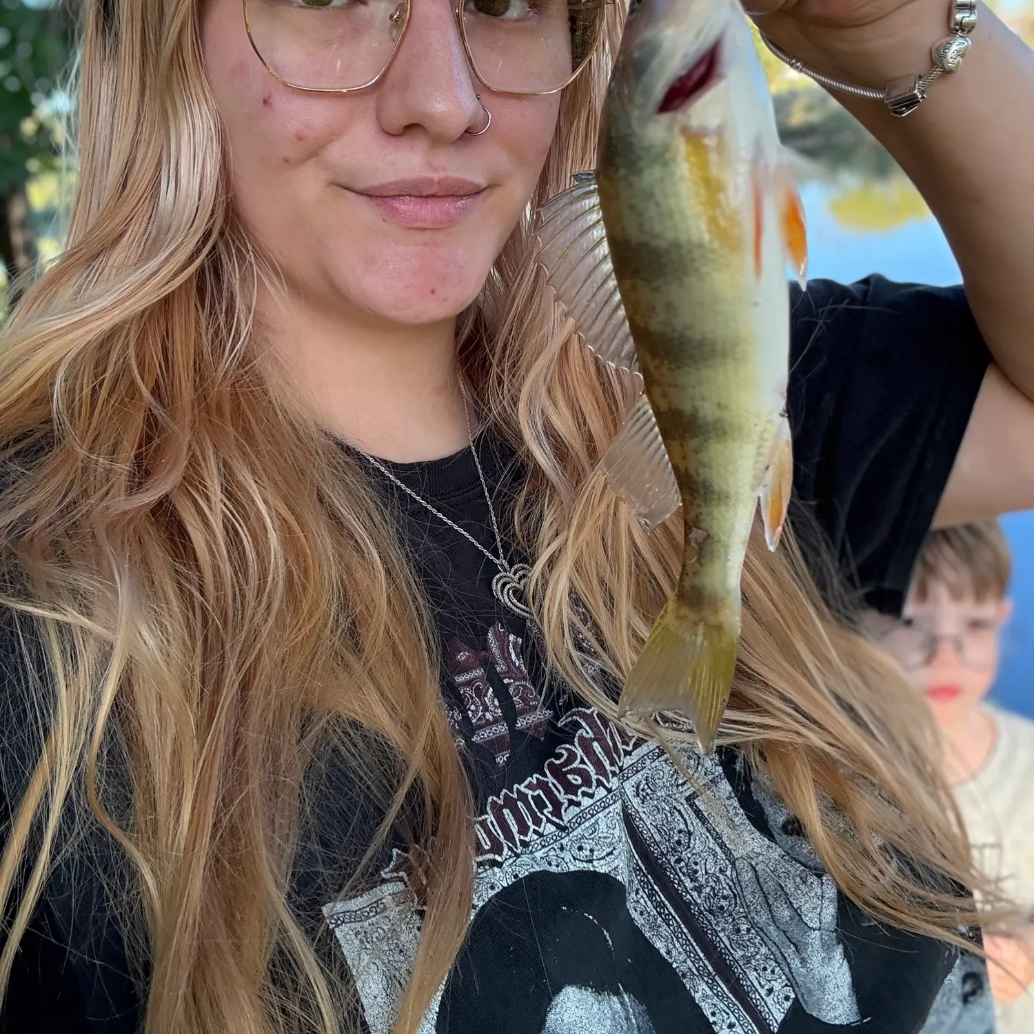 Yellow perch caught on Fishbrain