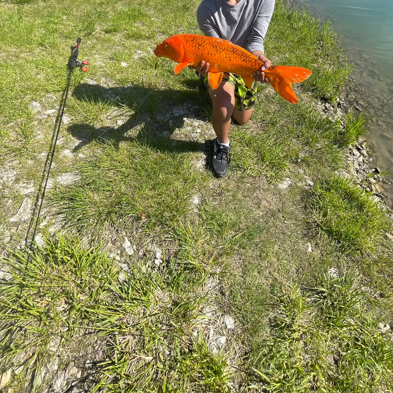 most liked catch image