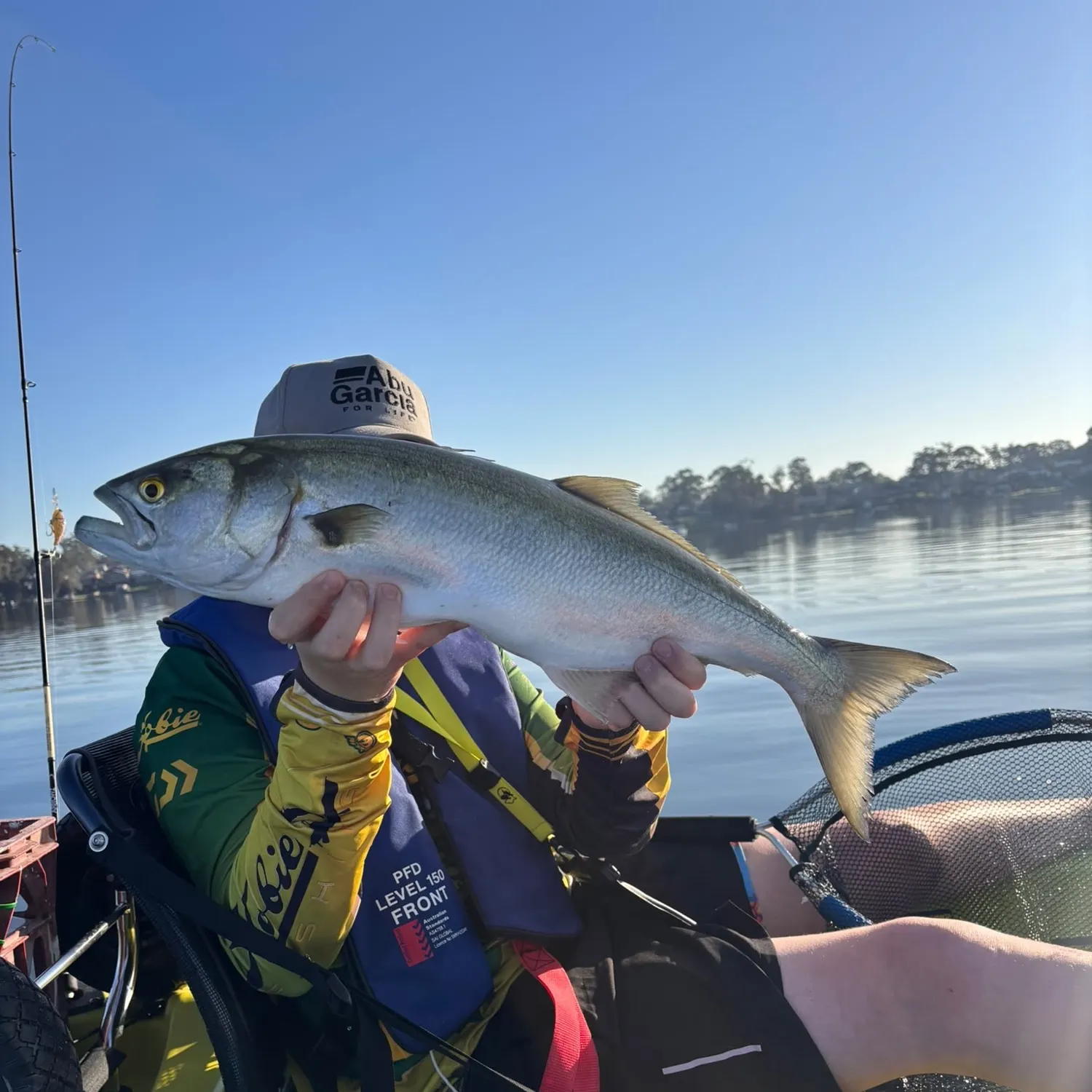 Bluefish caught on Fishbrain