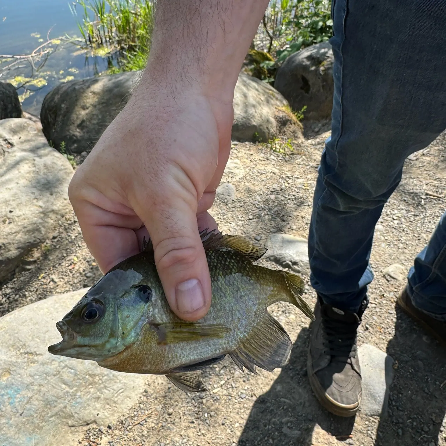catch