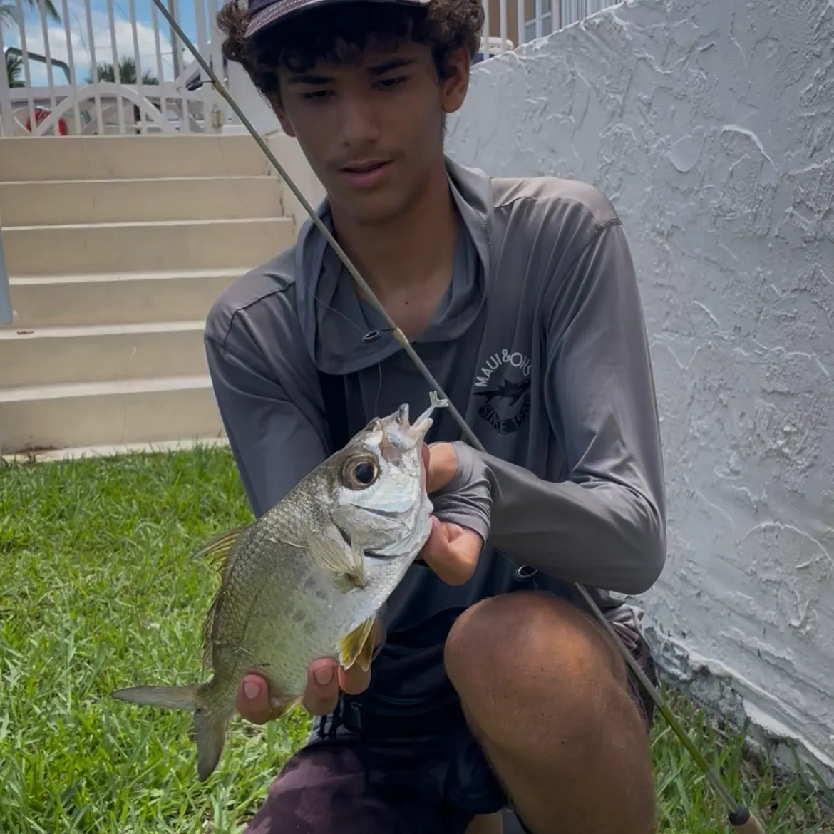 Yellowfin mojarra caught on Fishbrain