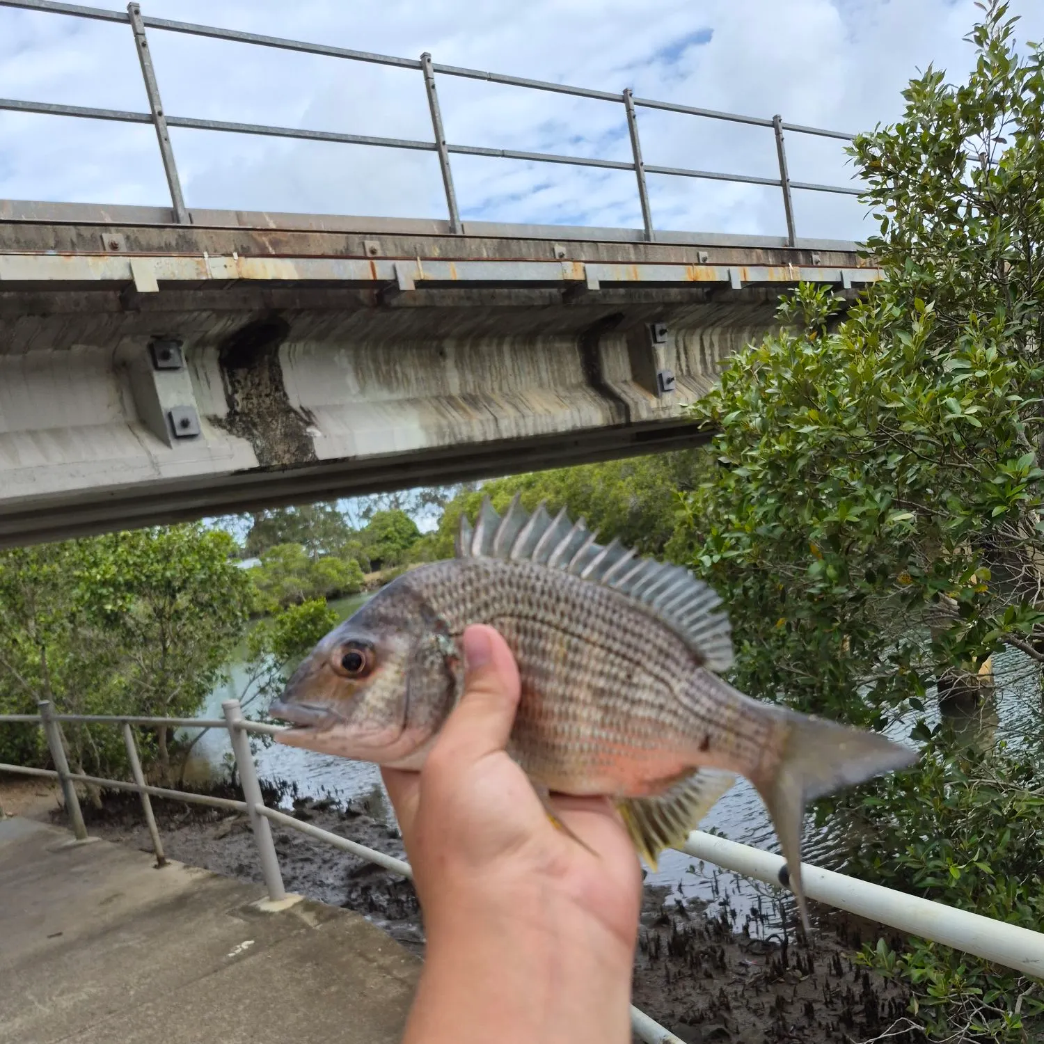 catch