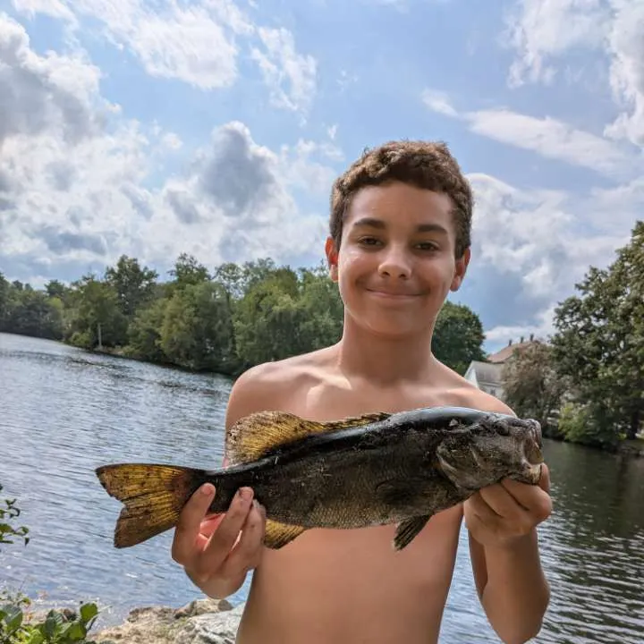 Smallmouth bass caught on Fishbrain