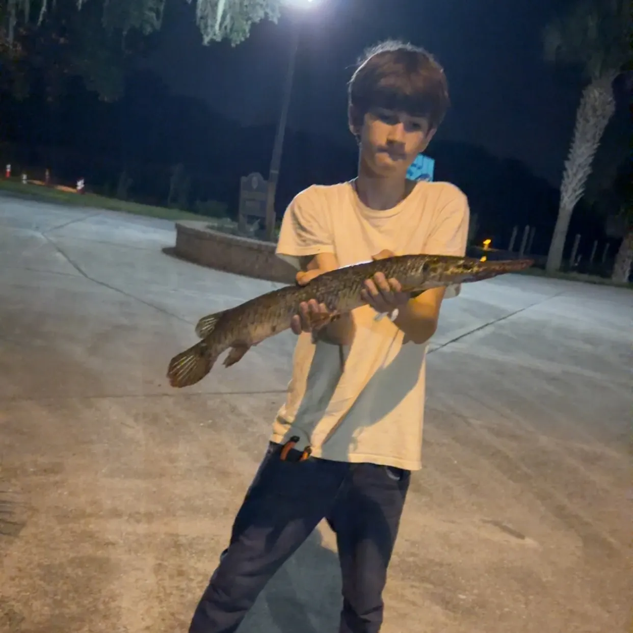 catch
